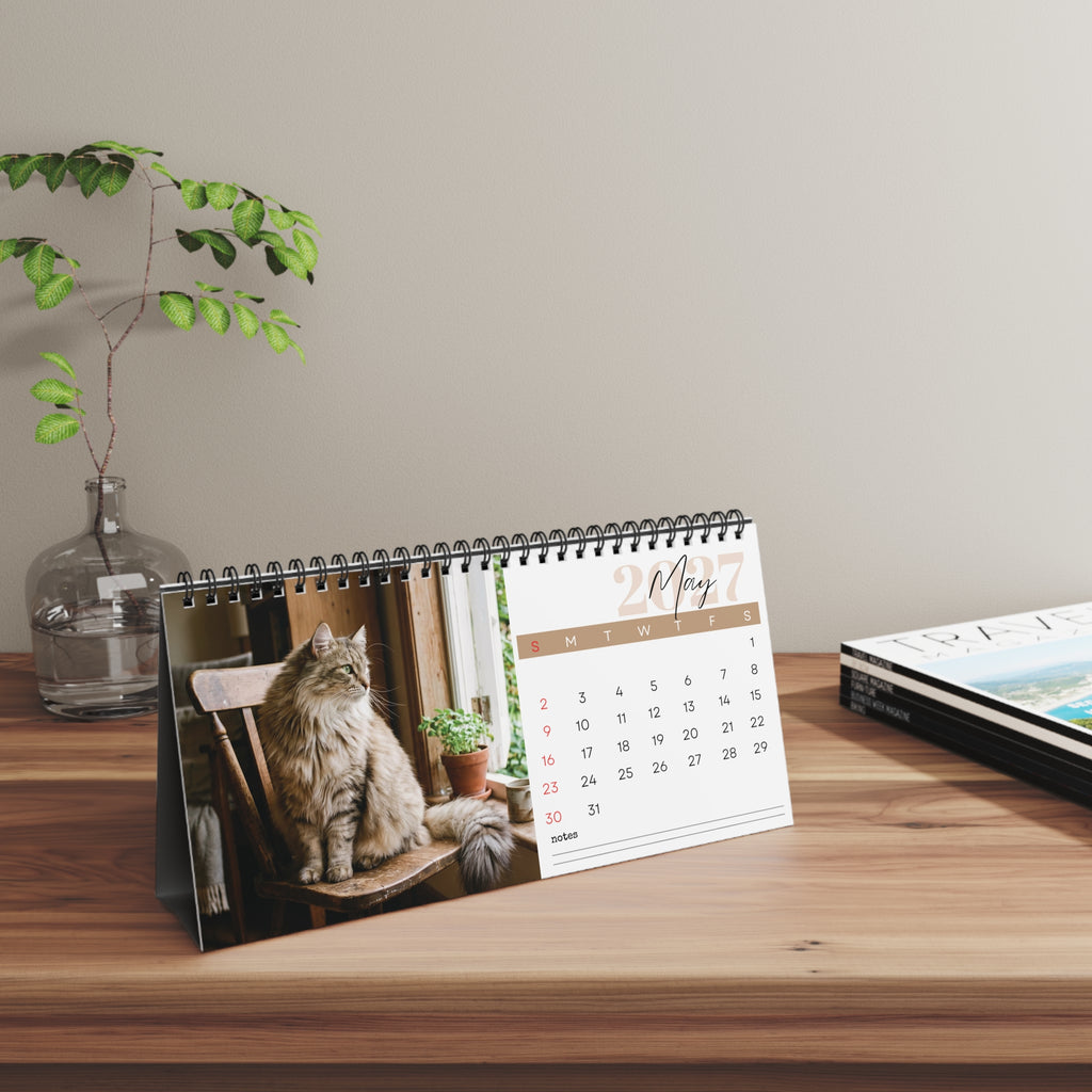 Norwegian Forest Cat Desk Calendar 2027