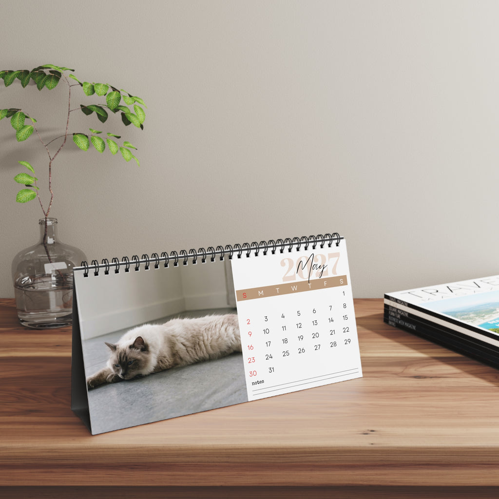 Ragdoll Cat Desk Calendar 2027