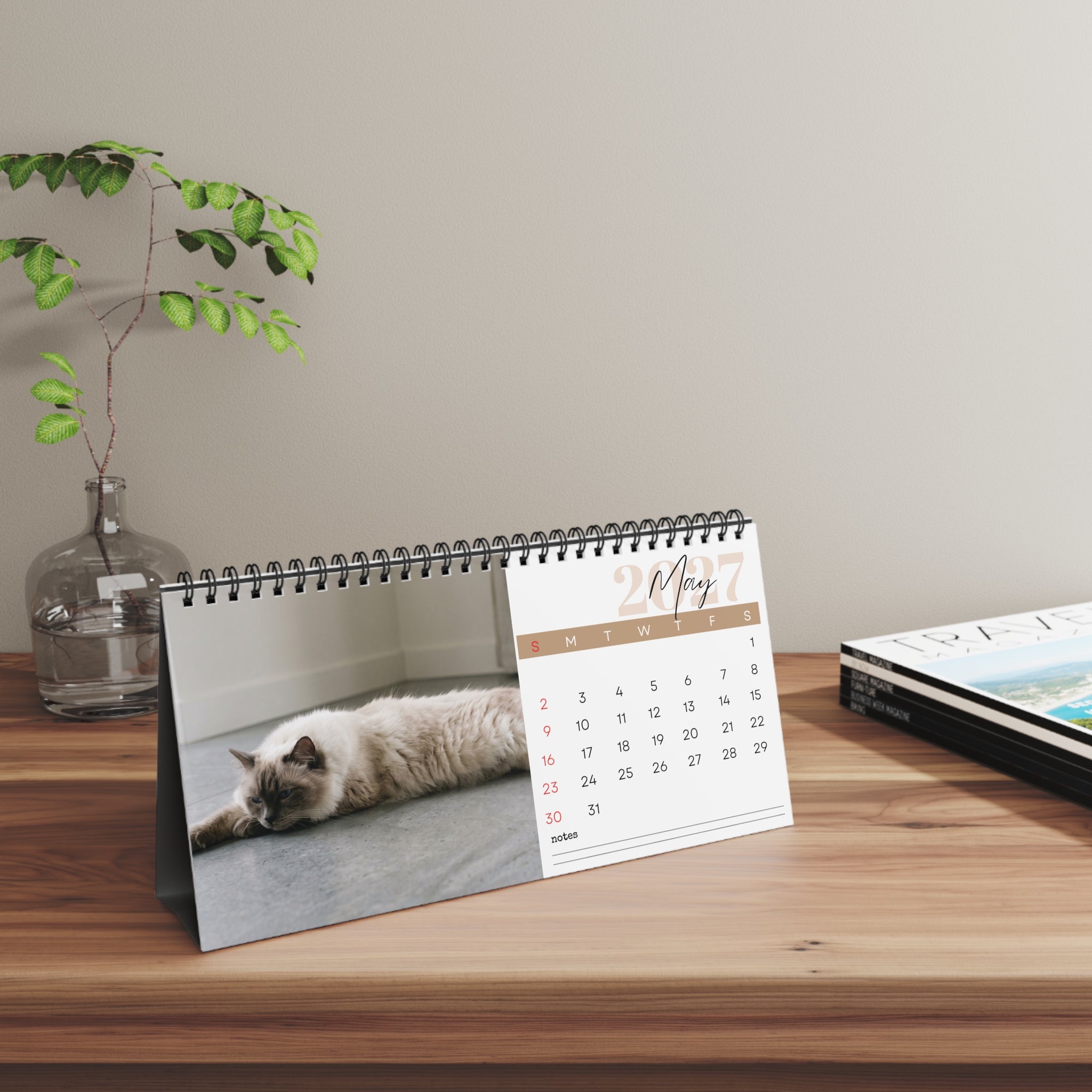 Ragdoll Cat Desk Calendar 2027