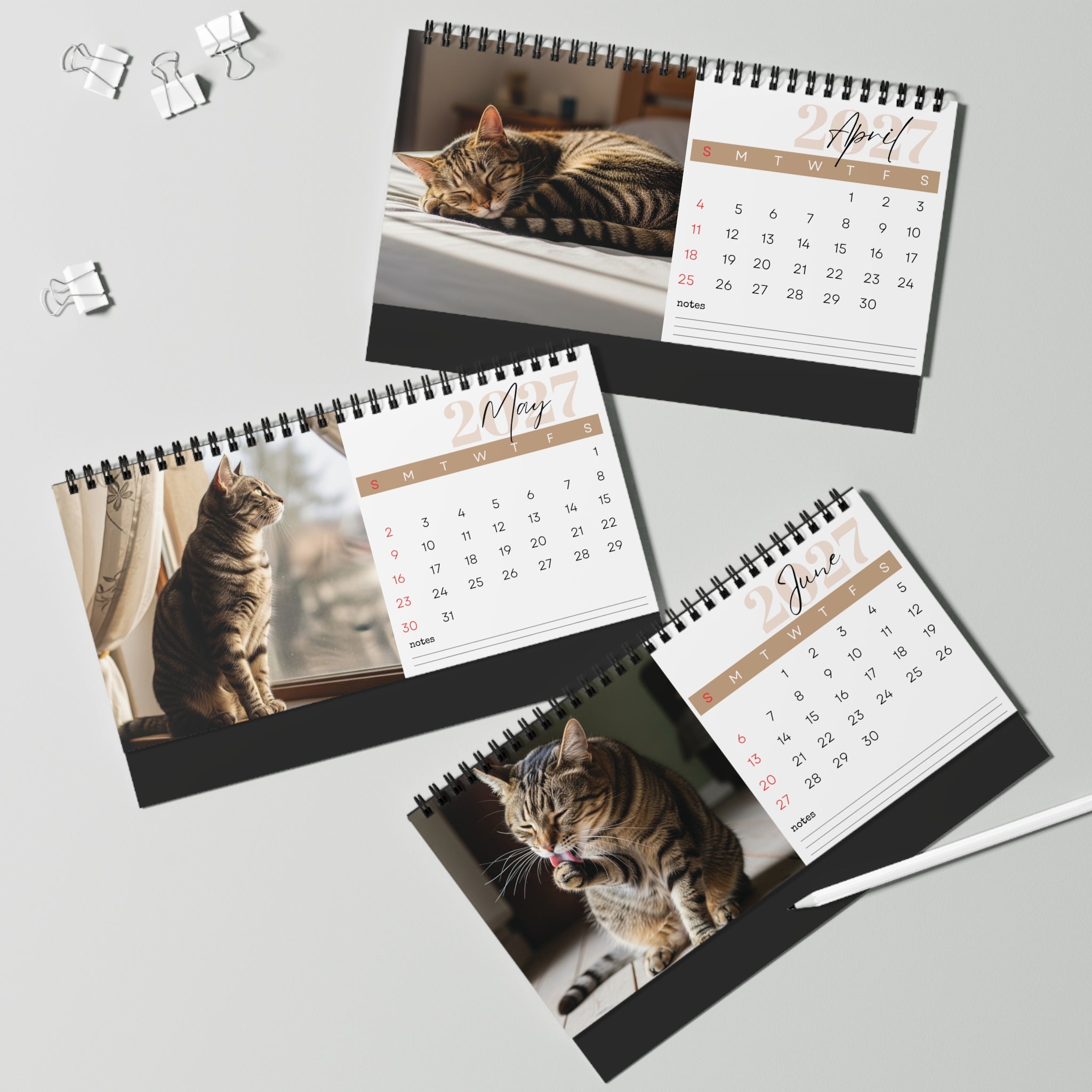 European Shorthair Desk Calendar 2027