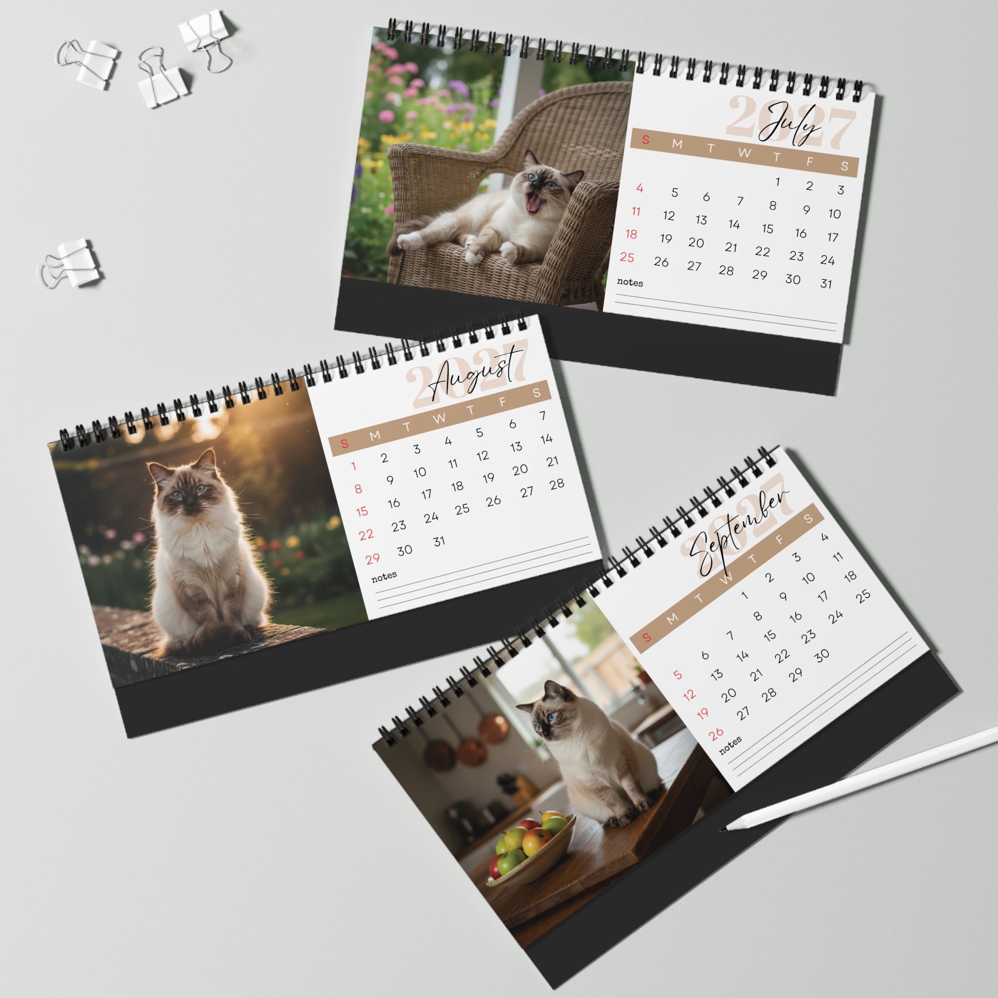 Birman Cat Desk Calendar 2027