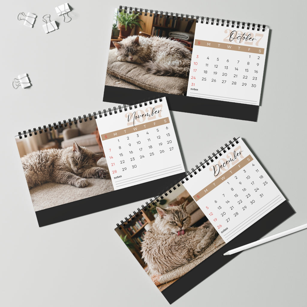 Selkirk Rex Cat Desk Calendar 2027