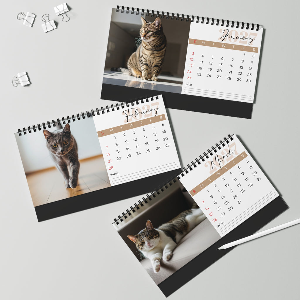 European Shorthair Desk Calendar 2027