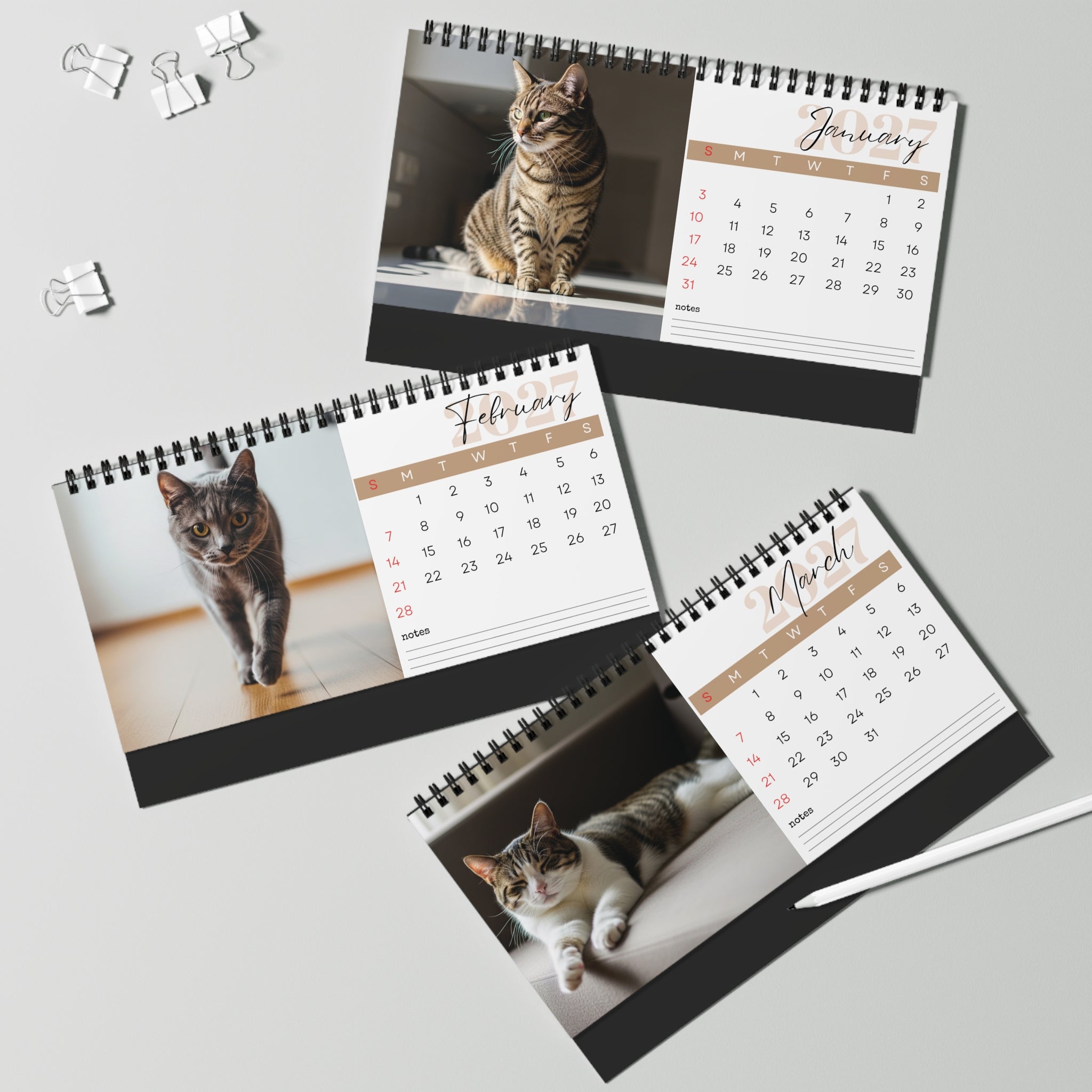 European Shorthair Desk Calendar 2027