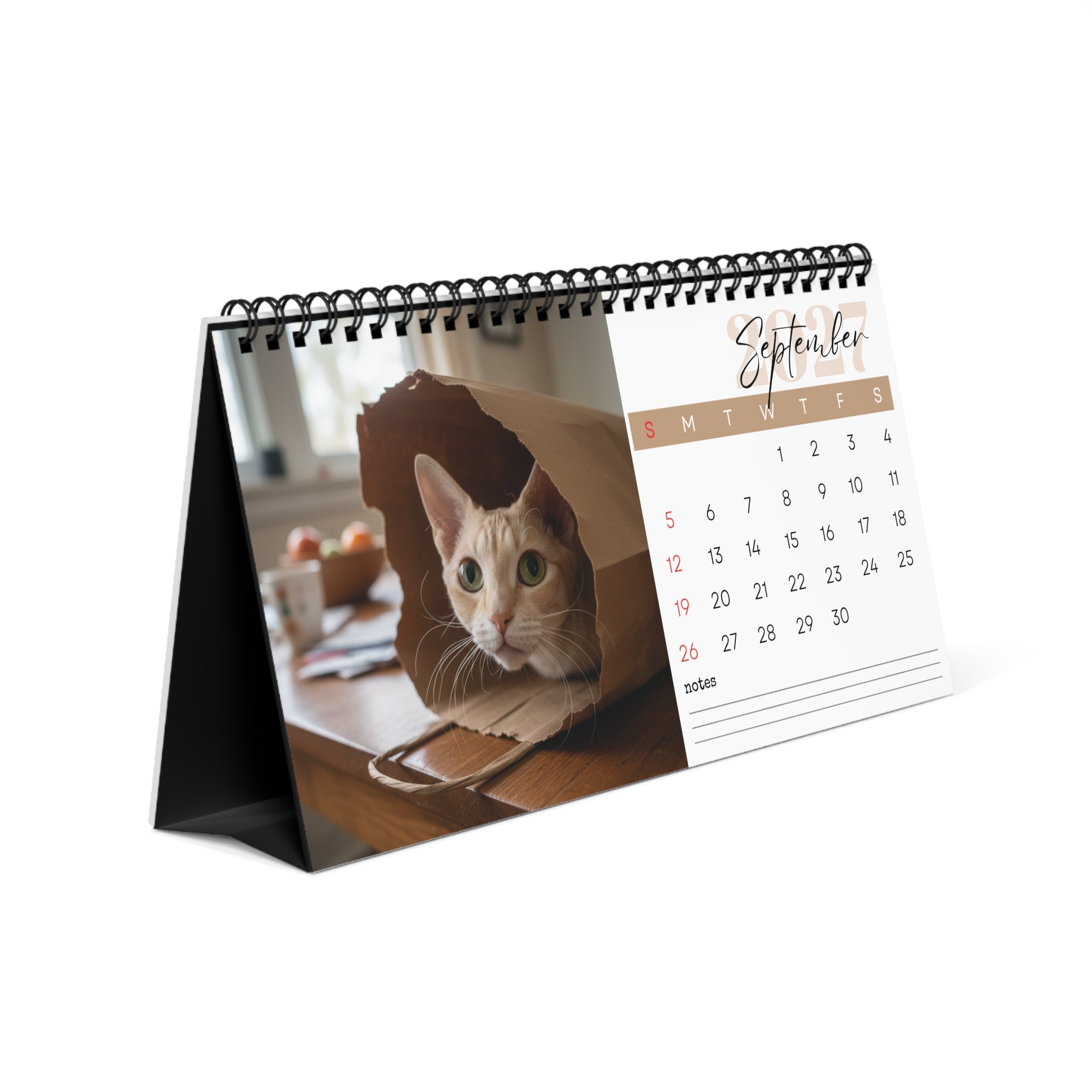 Cornish Rex Desk Calendar 2027