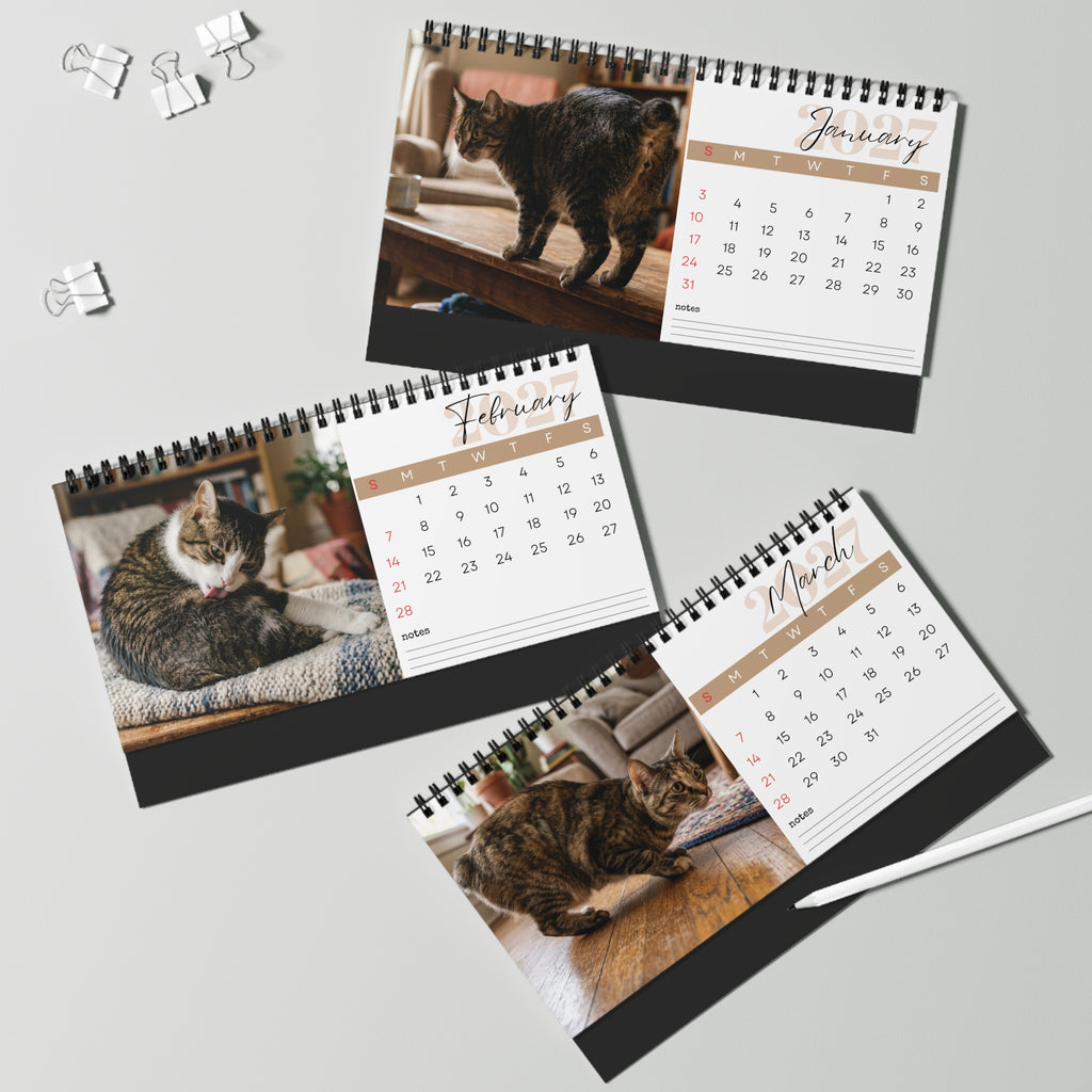 Manx Cat Desk Calendar 2027