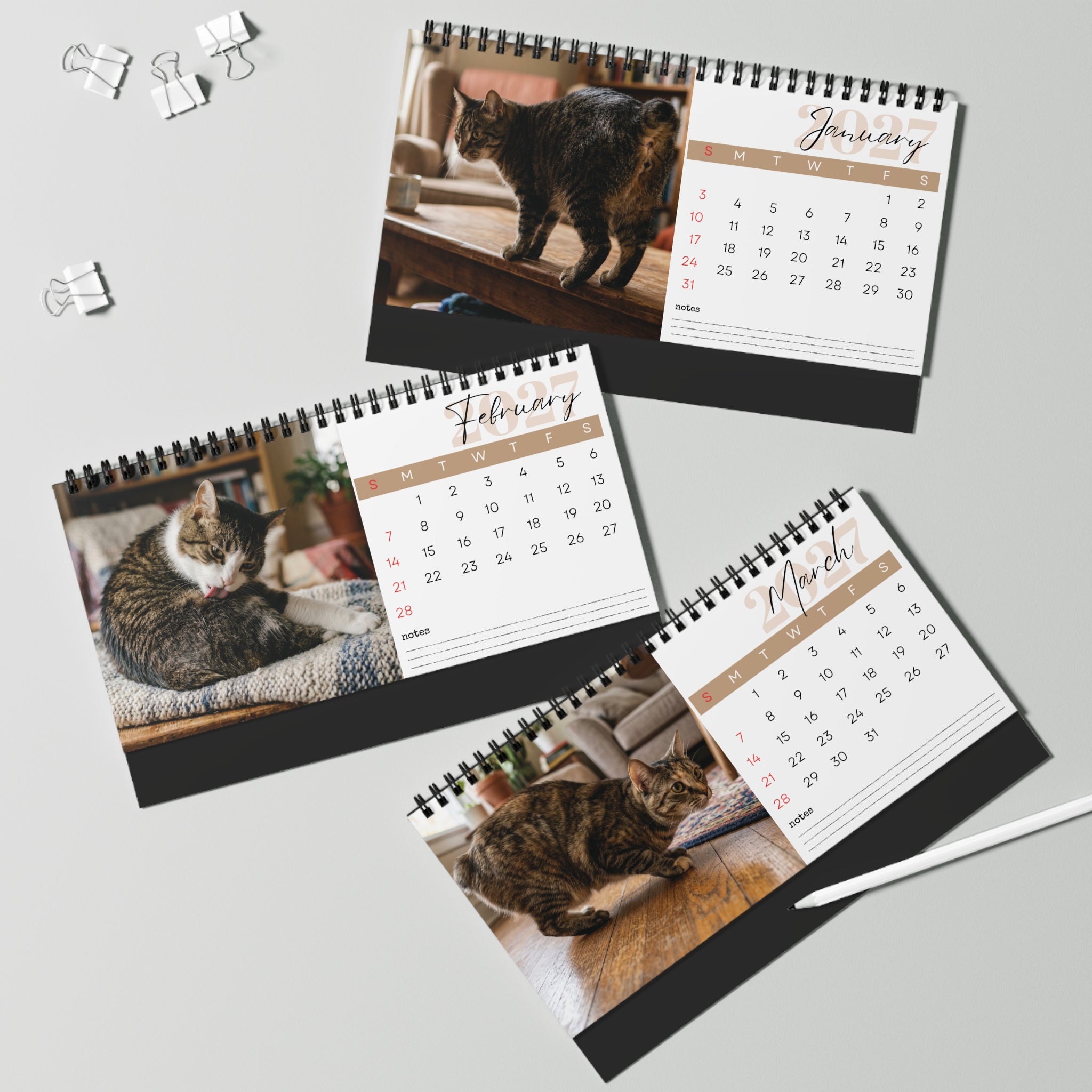 Manx Cat Desk Calendar 2027