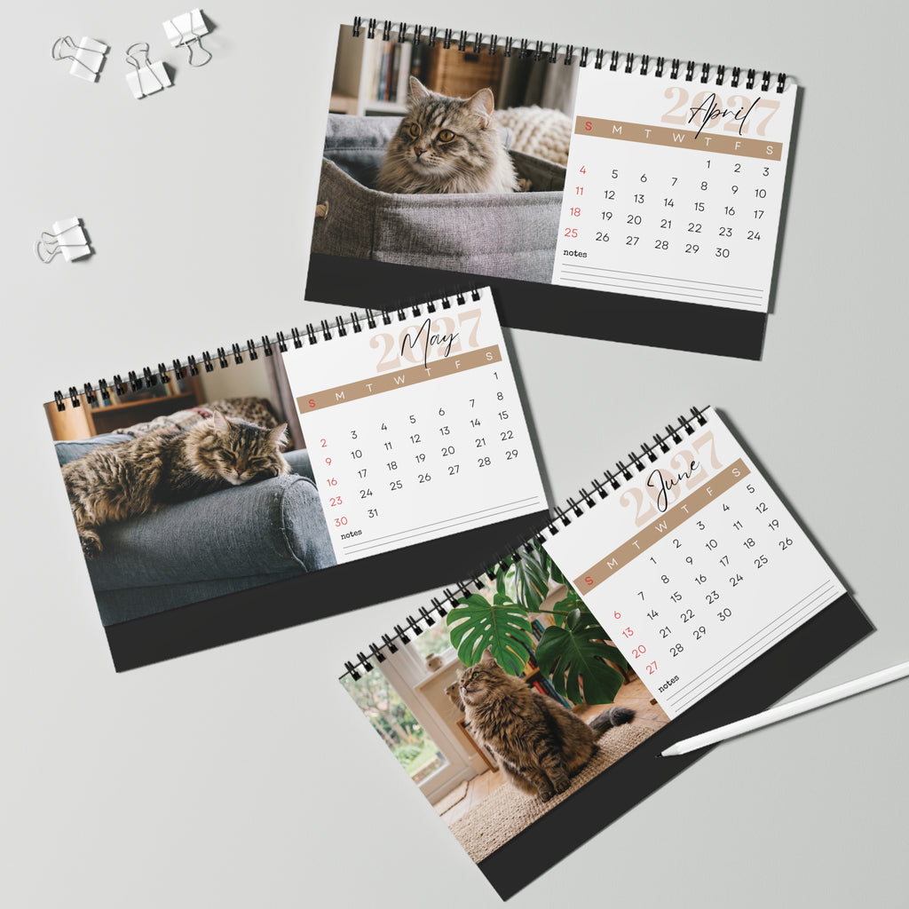 Siberian Cat Desk Calendar 2027