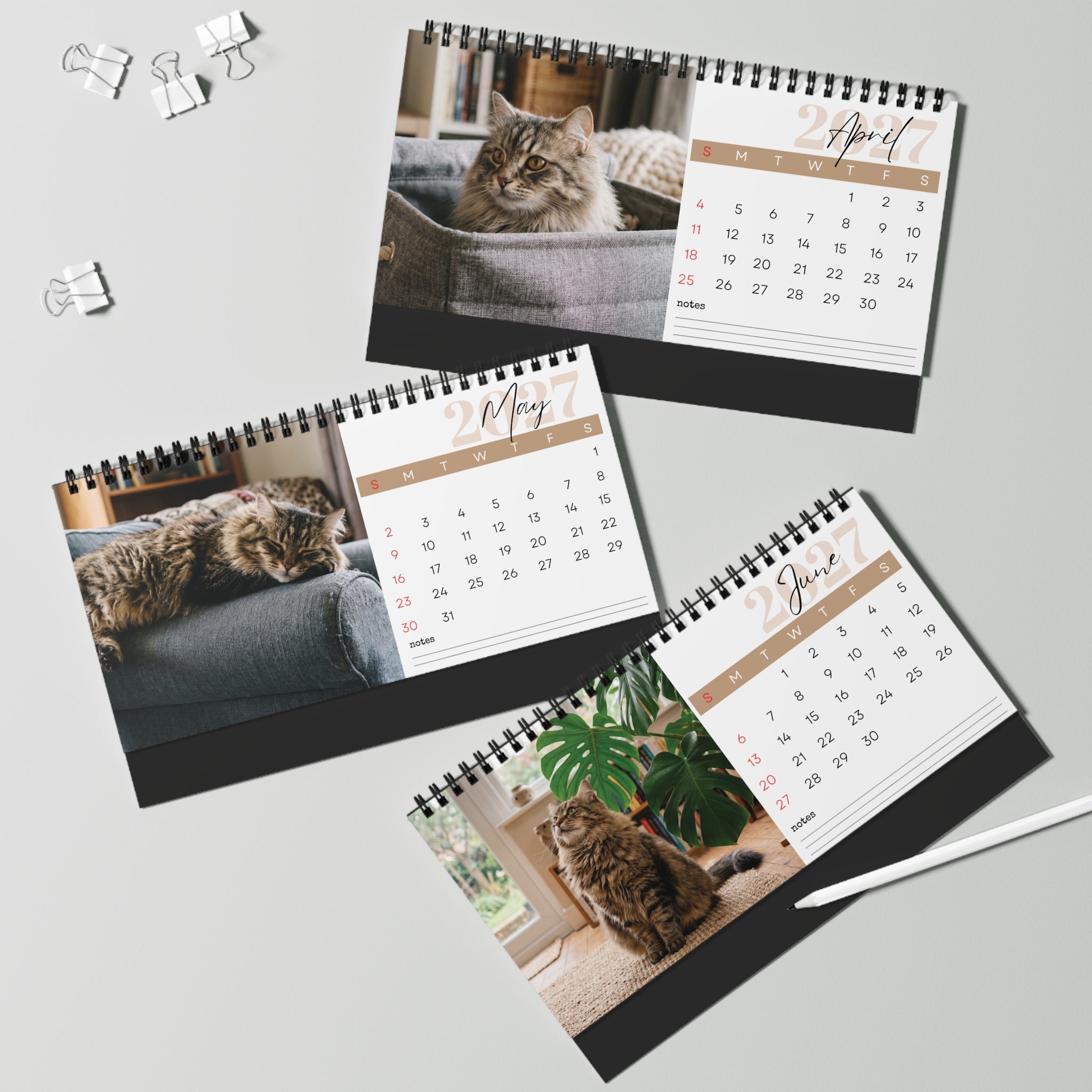 Siberian Cat Desk Calendar 2027