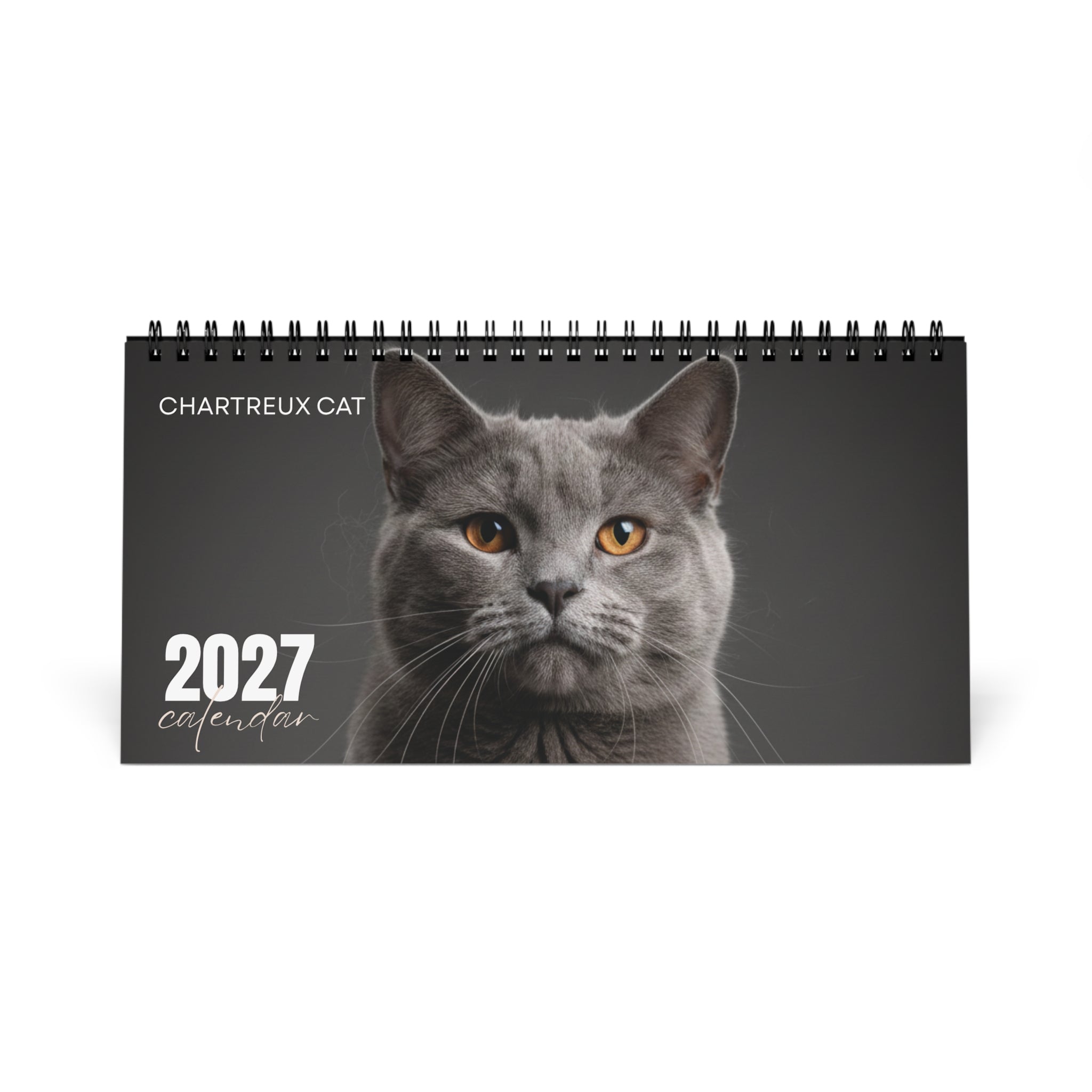 Chartreux Cat Desk Calendar 2027
