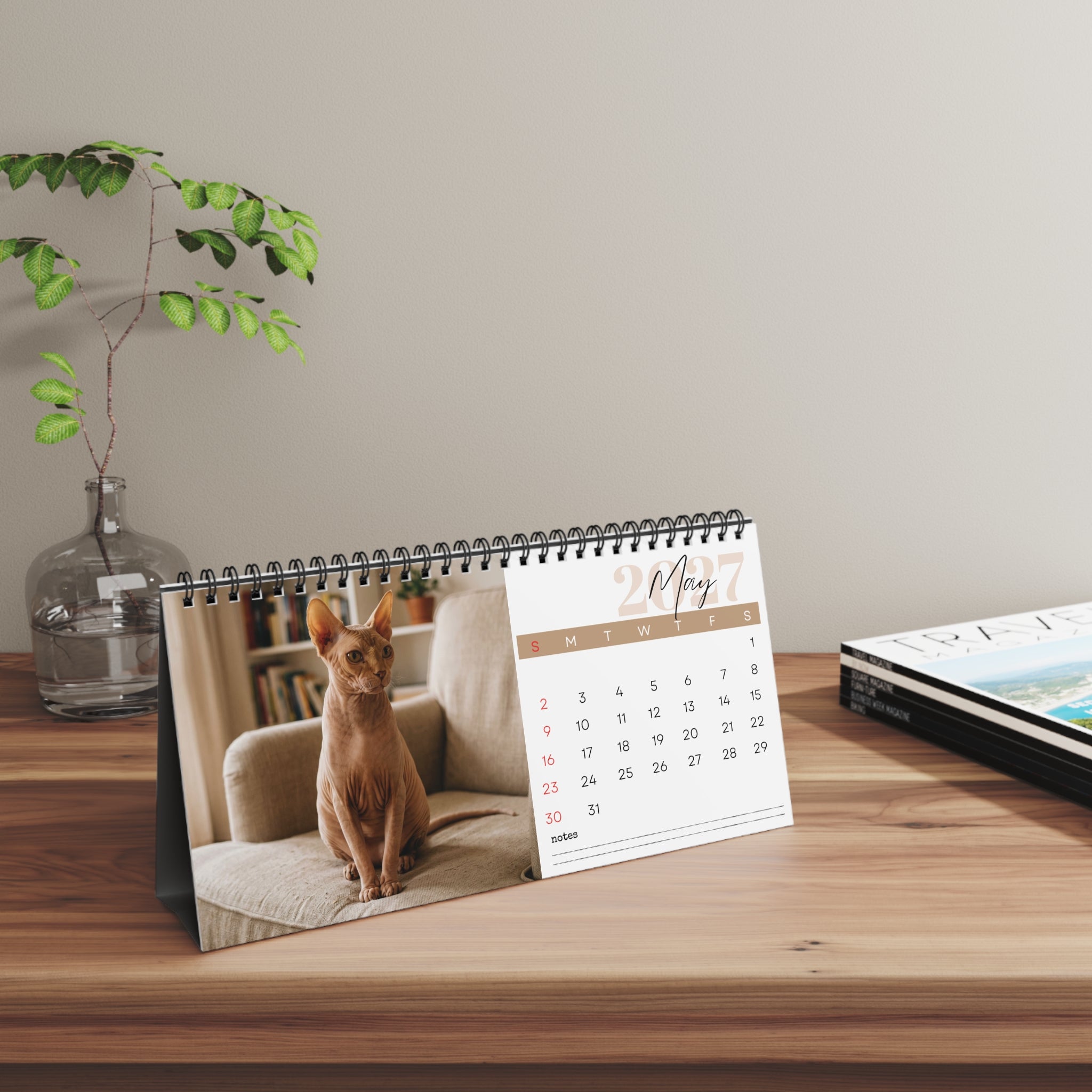 Sphynx Cat Desk Calendar 2027