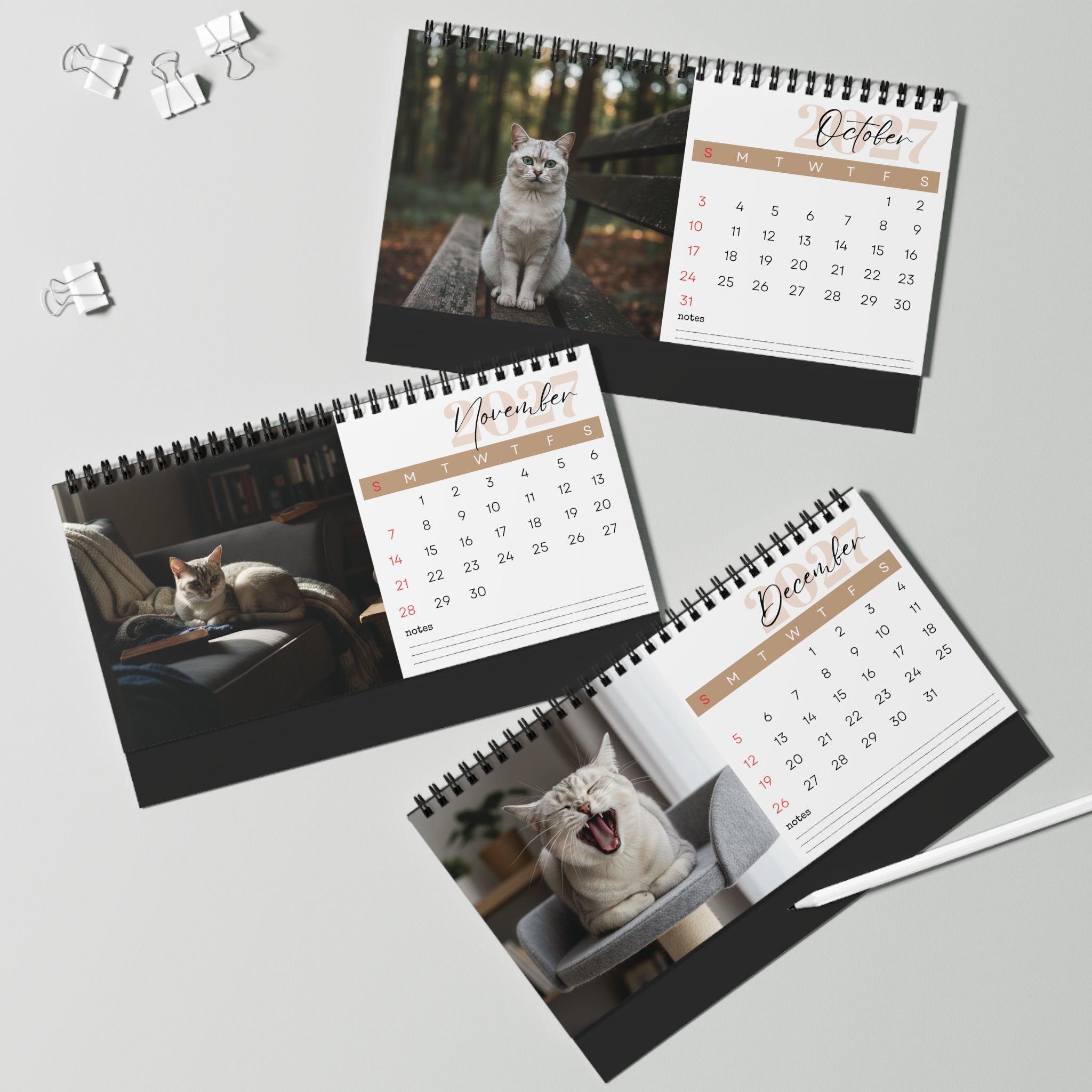 Burmilla Cat Desk Calendar 2027