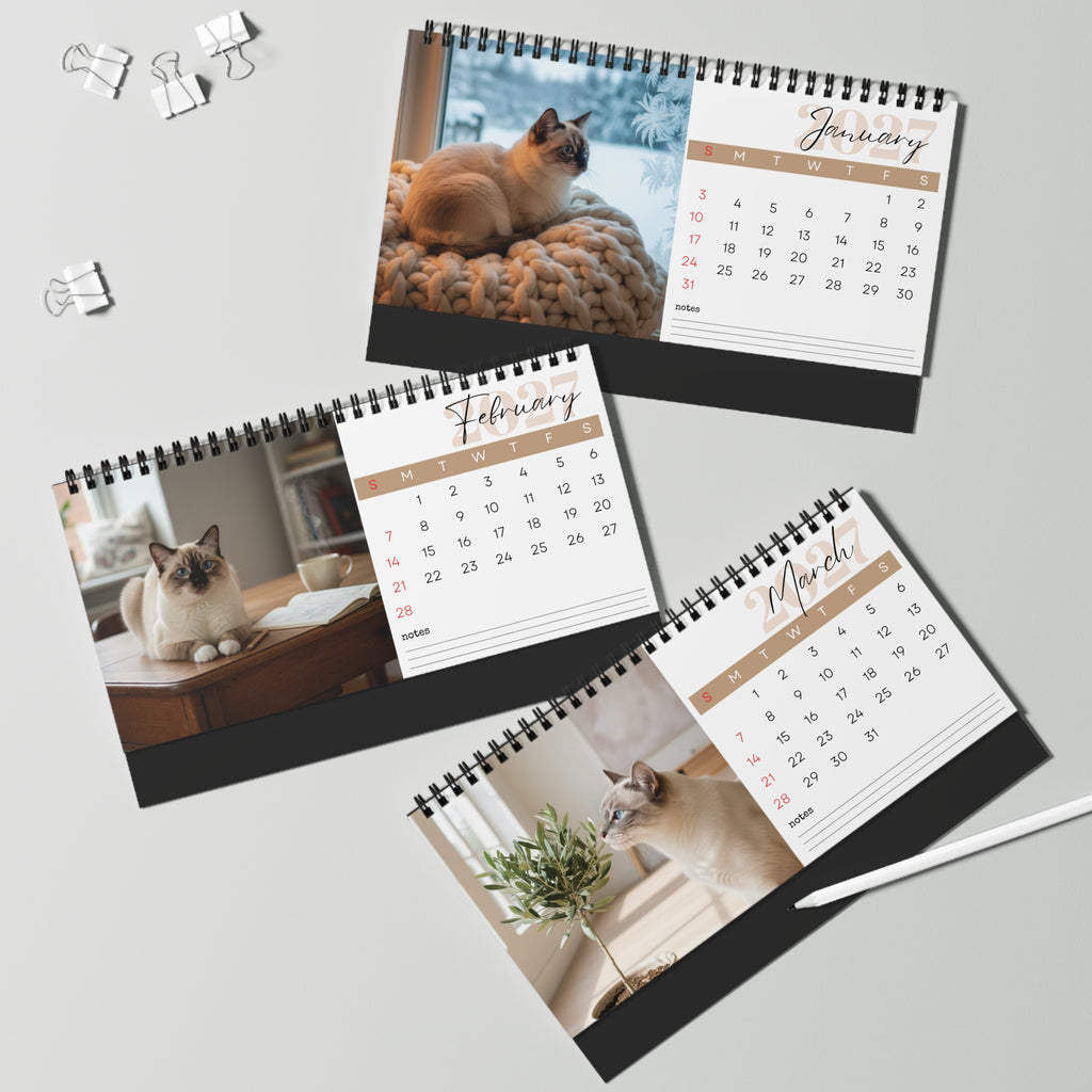 Birman Cat Desk Calendar 2027