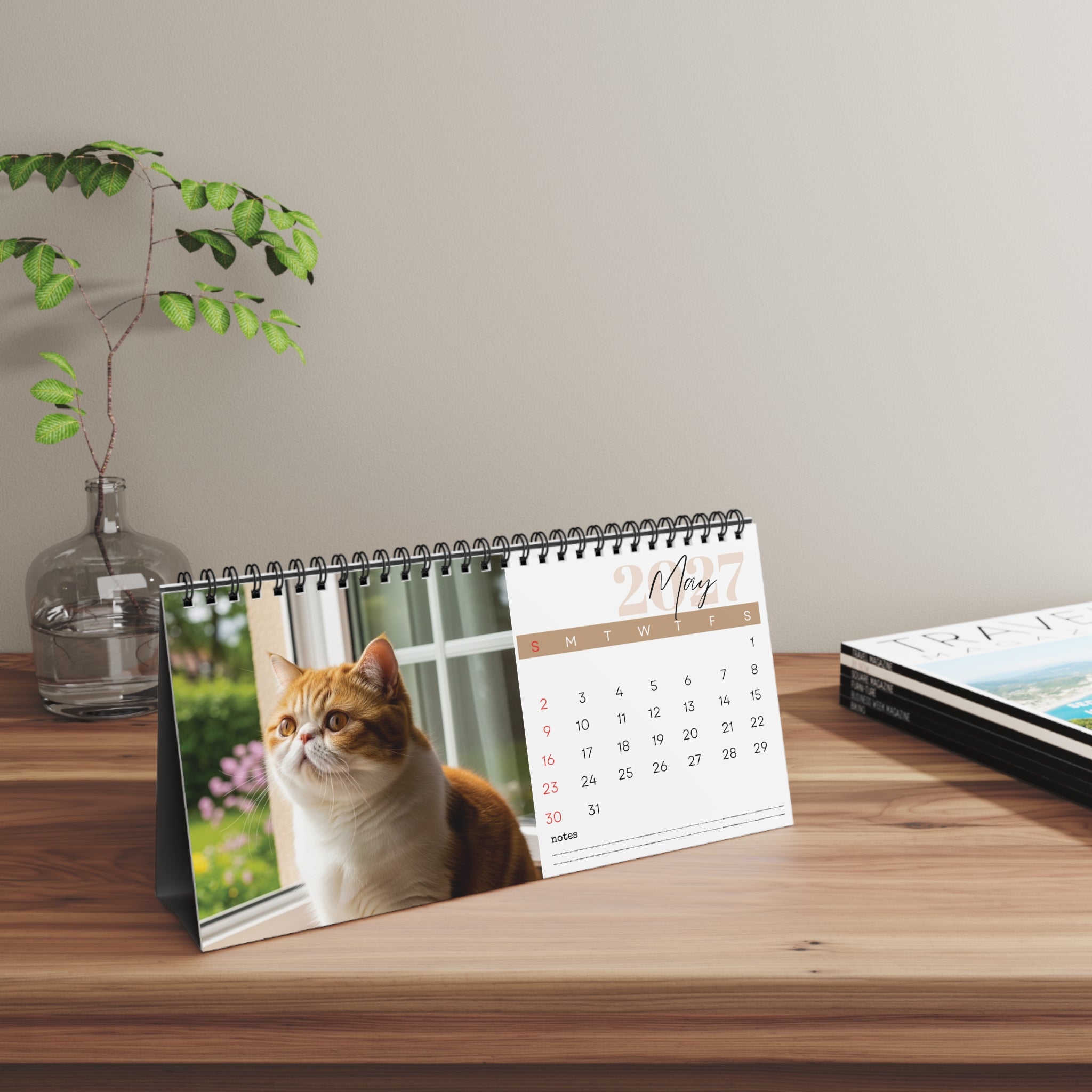 Exotic Shorthair Desk Calendar 2027