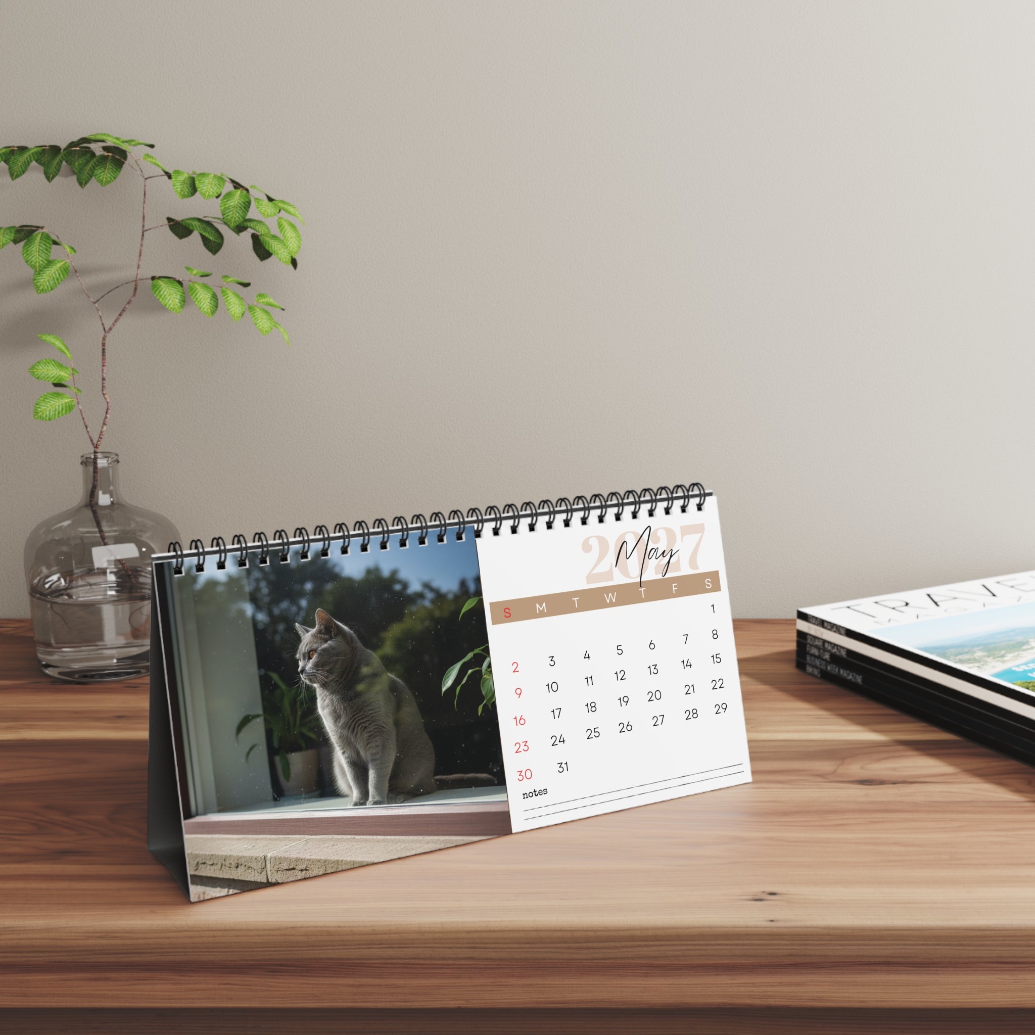 Chartreux Cat Desk Calendar 2027