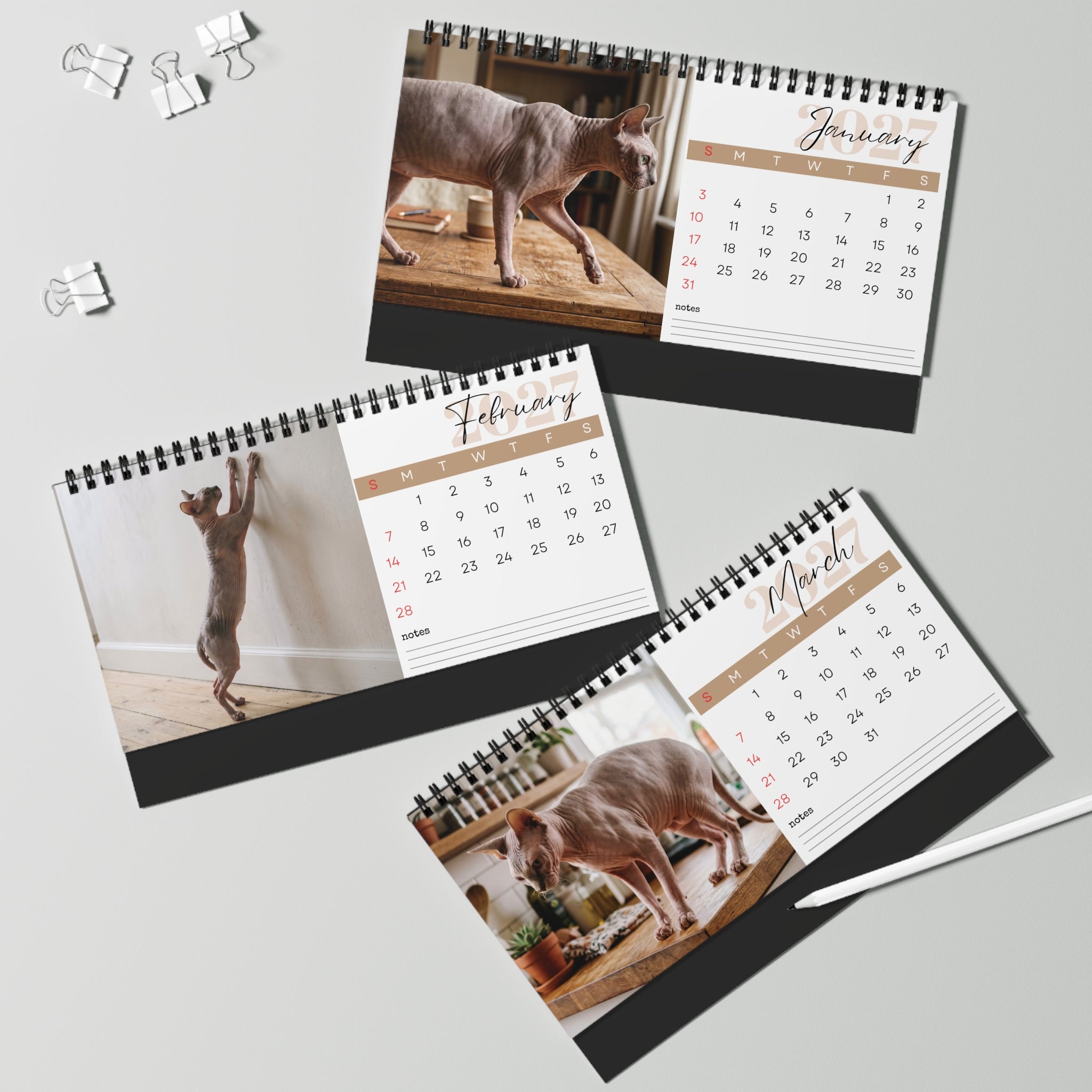 Sphynx Cat Desk Calendar 2027