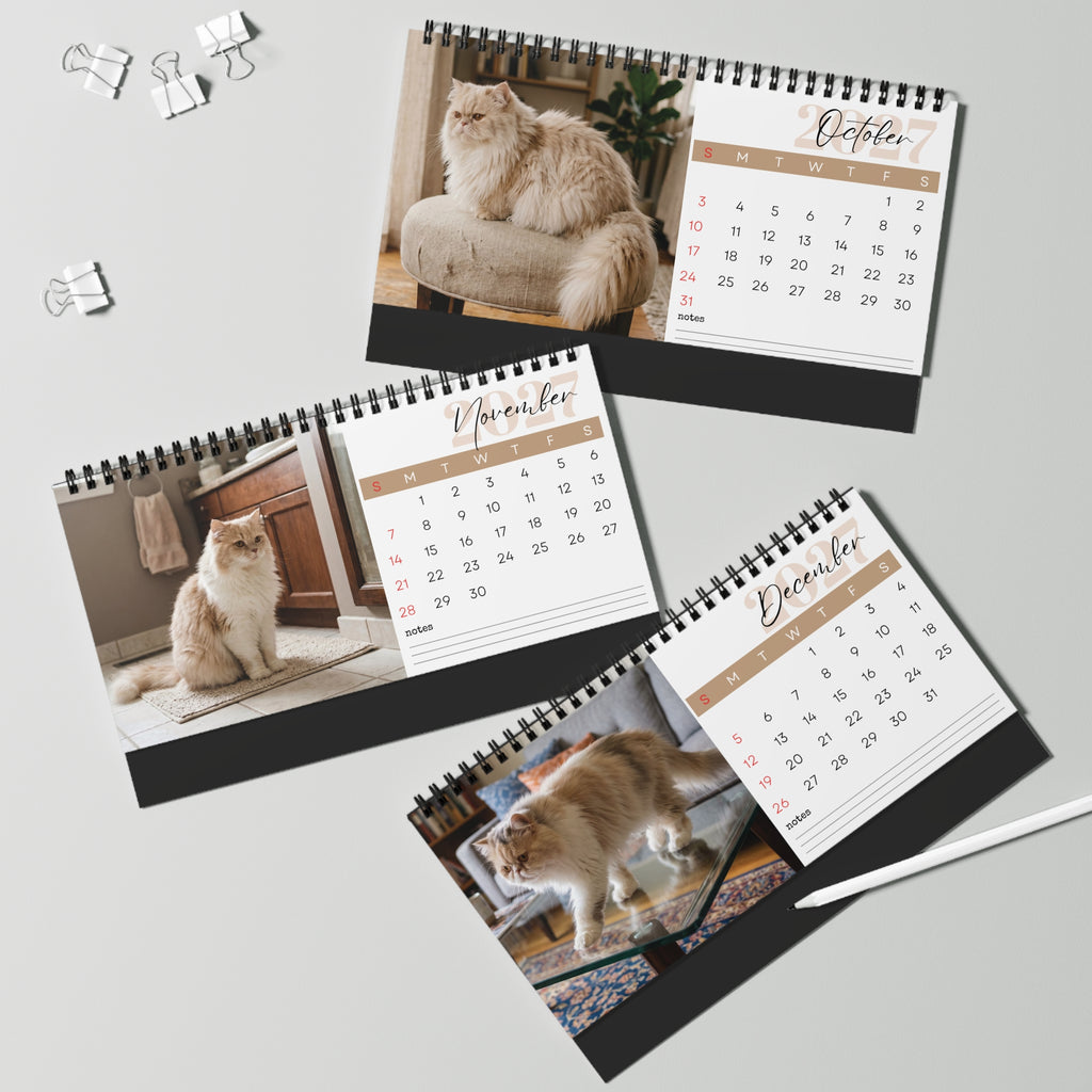 Persian Cat Desk Calendar 2027