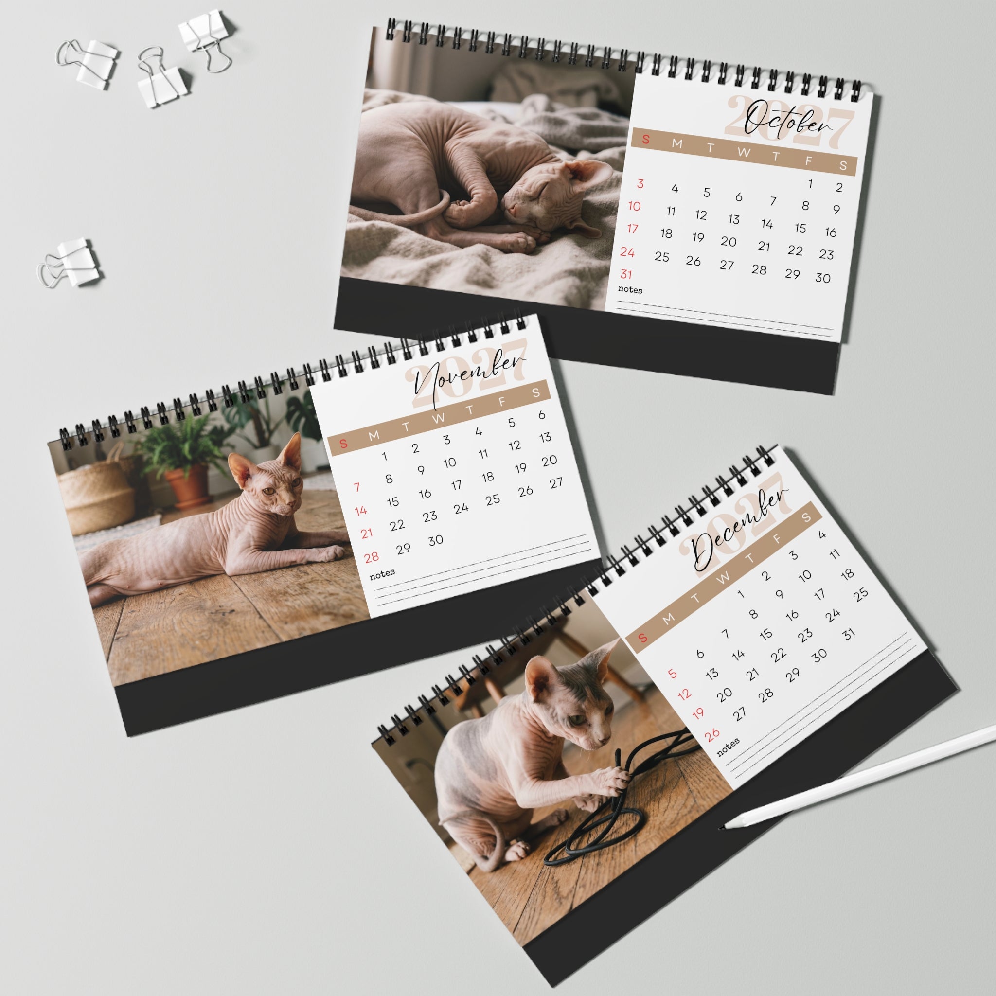Sphynx Cat Desk Calendar 2027