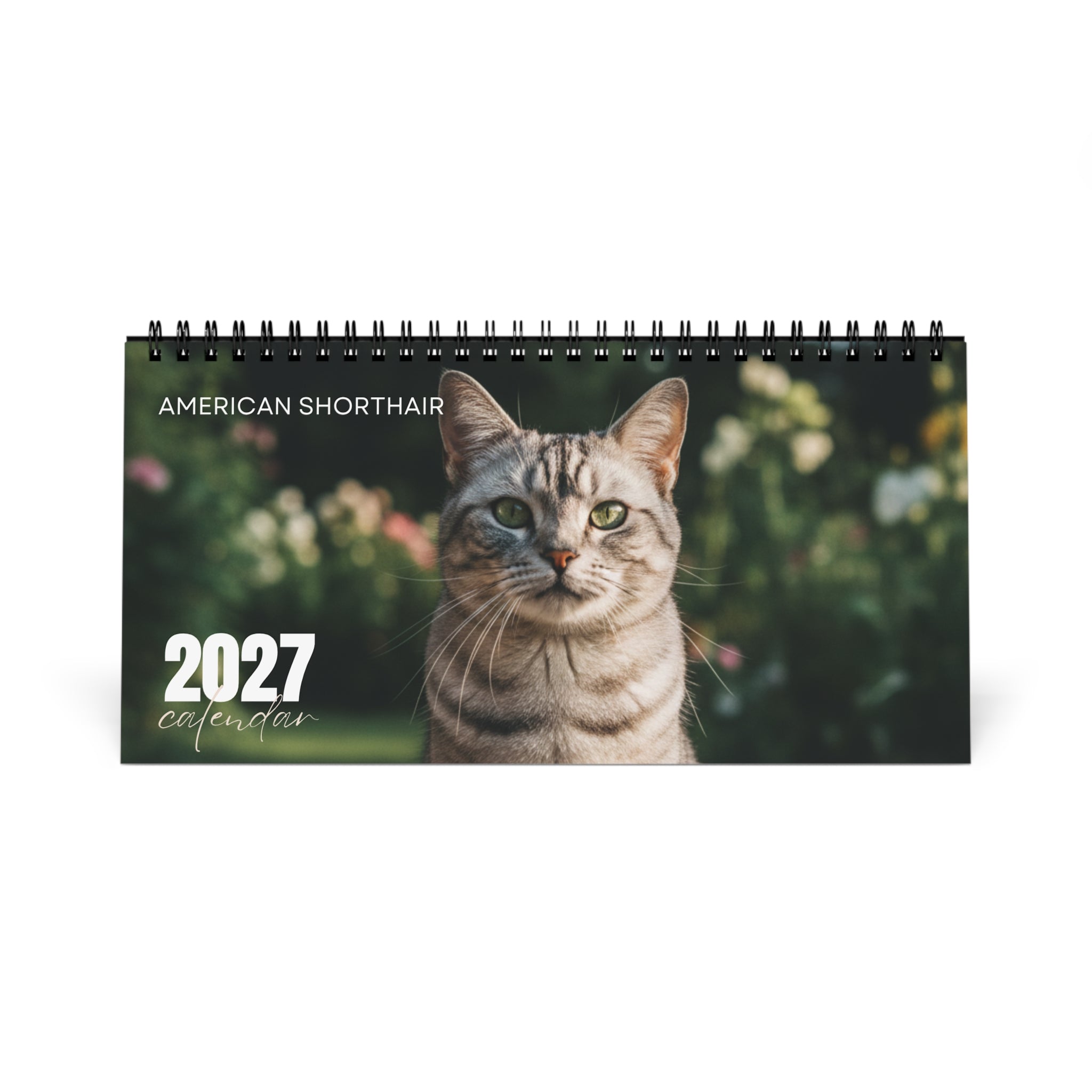 American Shorthair Cat Desk Calendar 2027