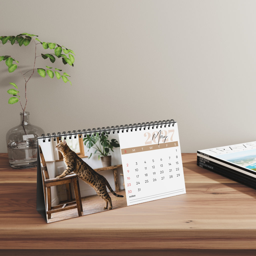 Serengeti Cat Desk Calendar 2027