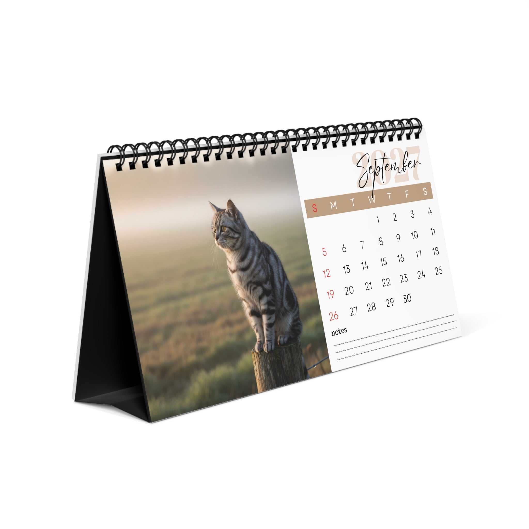 American Shorthair Cat Desk Calendar 2027