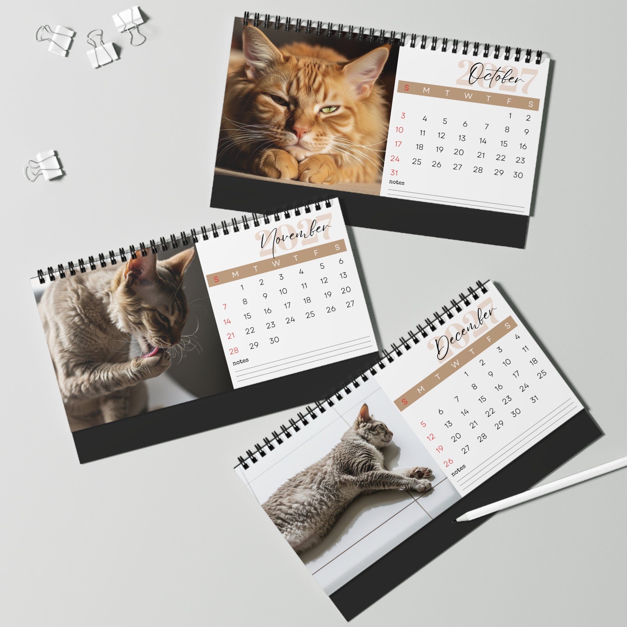 LaPerm Desk Calendar 2027