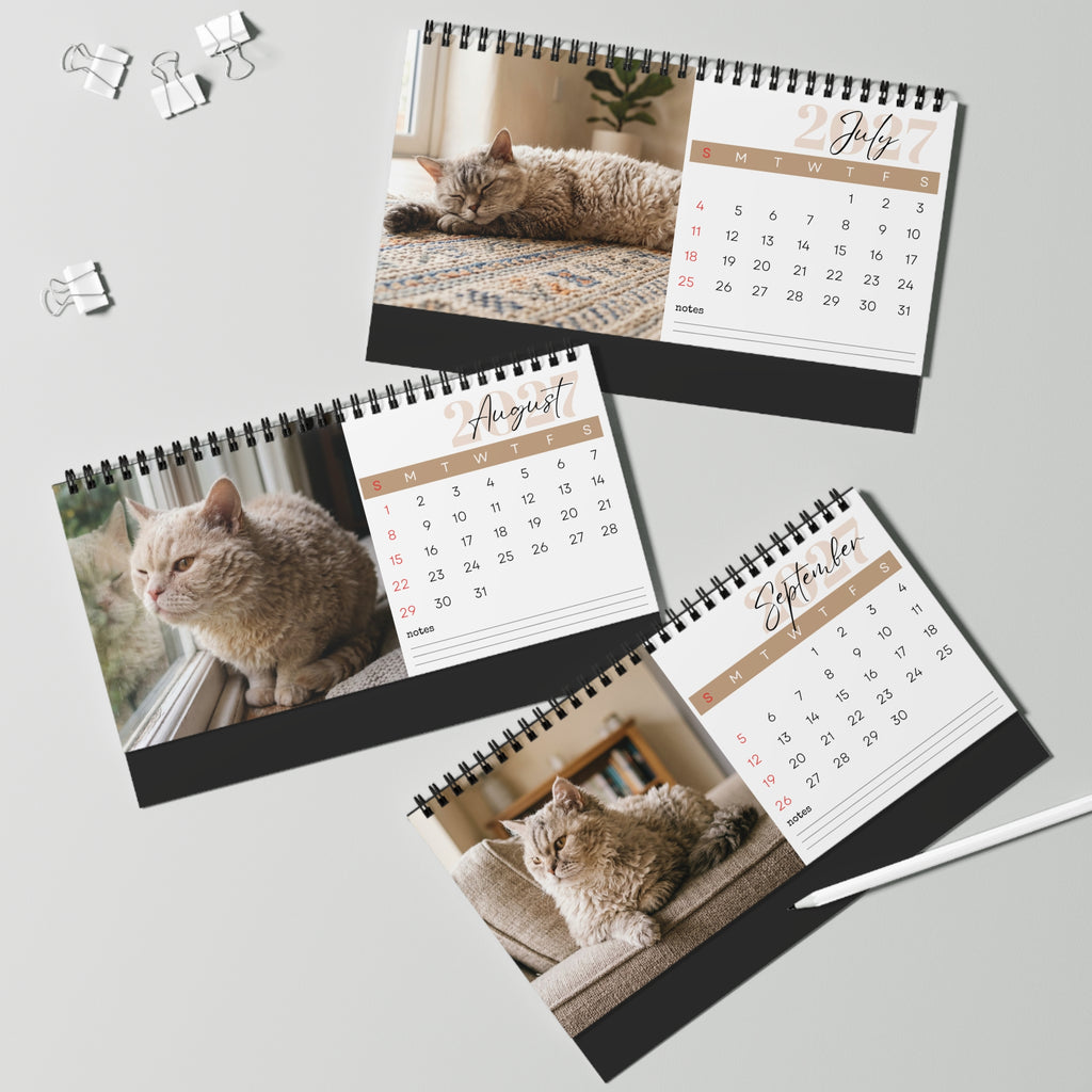 Selkirk Rex Cat Desk Calendar 2027