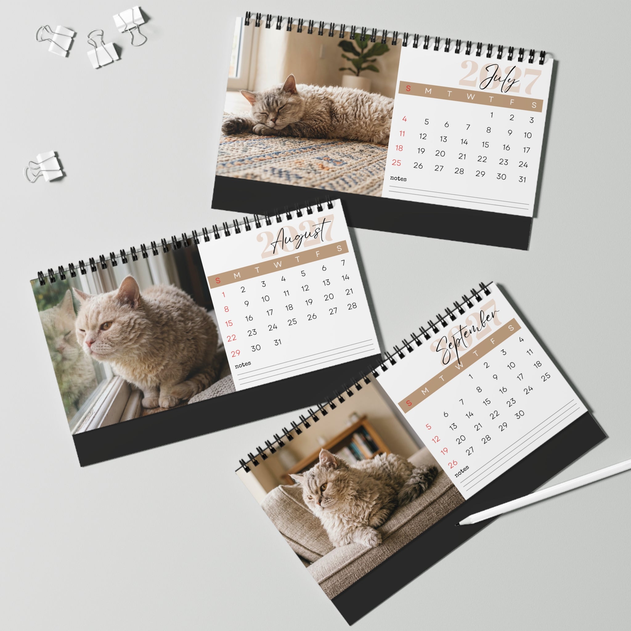 Selkirk Rex Cat Desk Calendar 2027