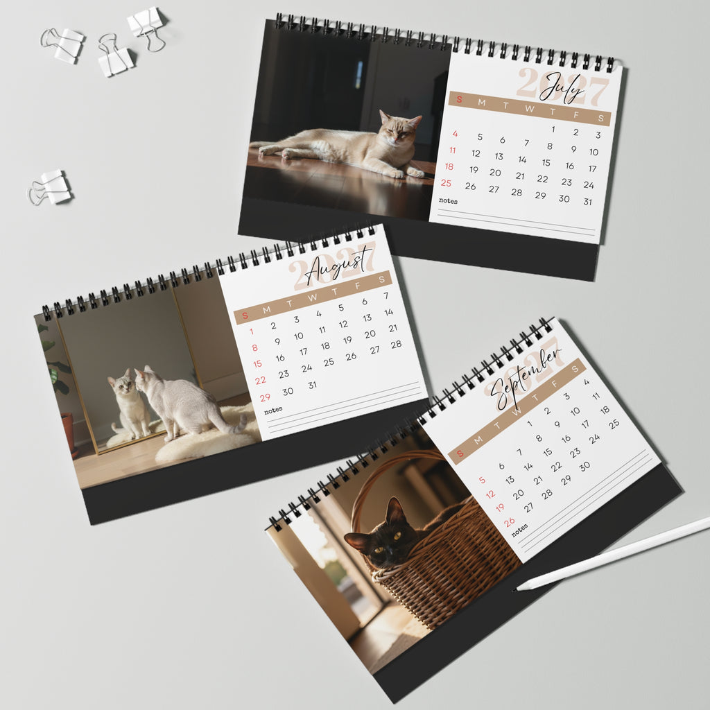 Burmese Cat Desk Calendar 2027