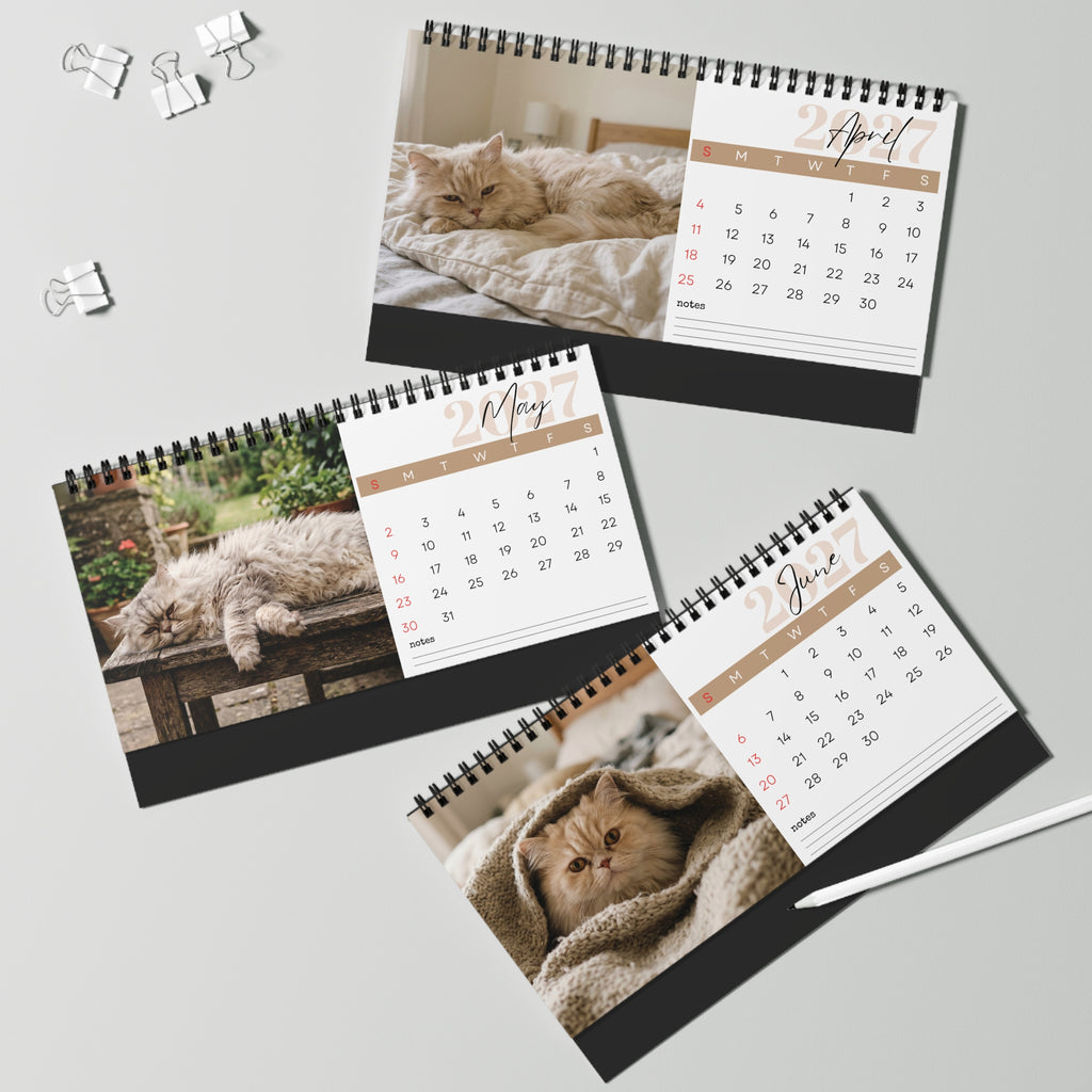 Persian Cat Desk Calendar 2027