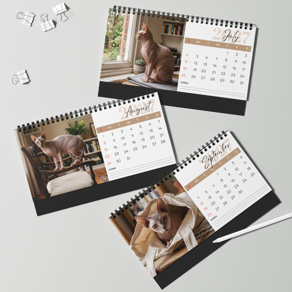 Sphynx Cat Desk Calendar 2027