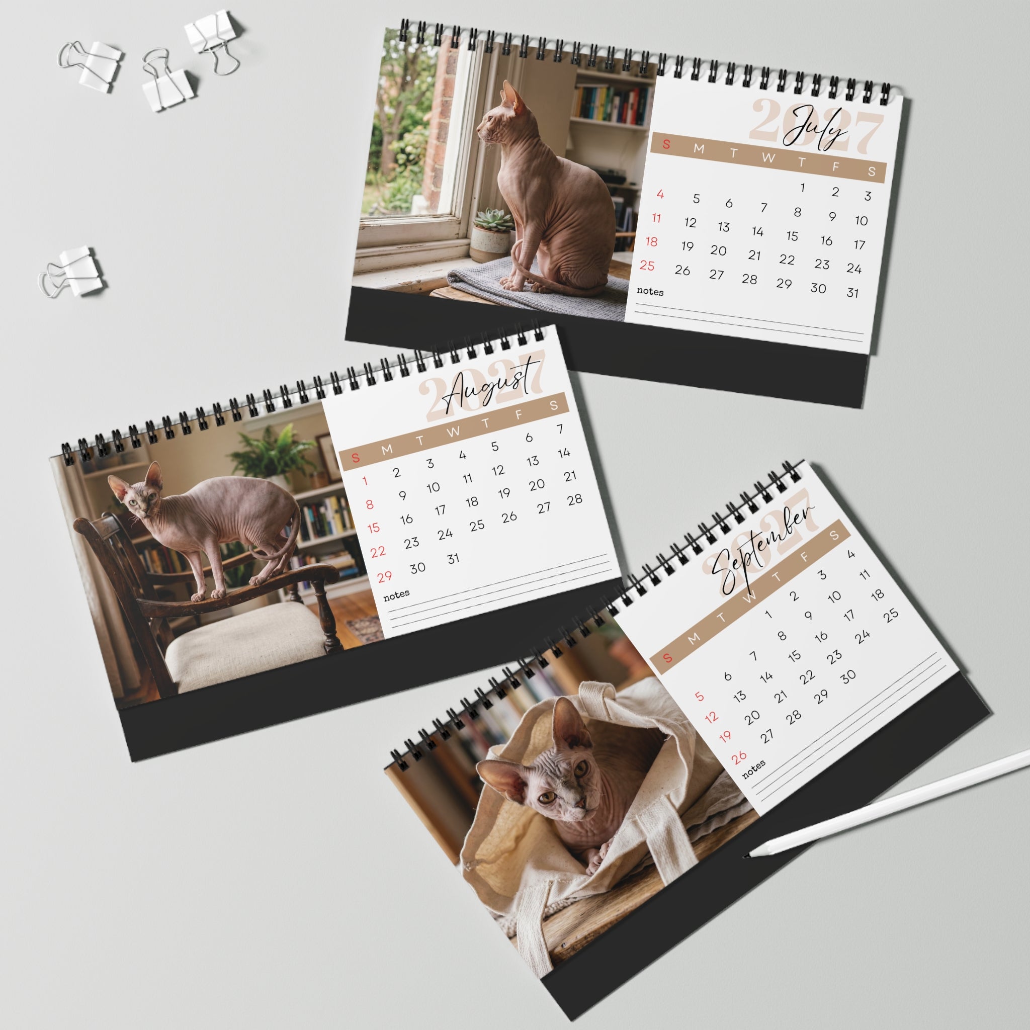 Sphynx Cat Desk Calendar 2027