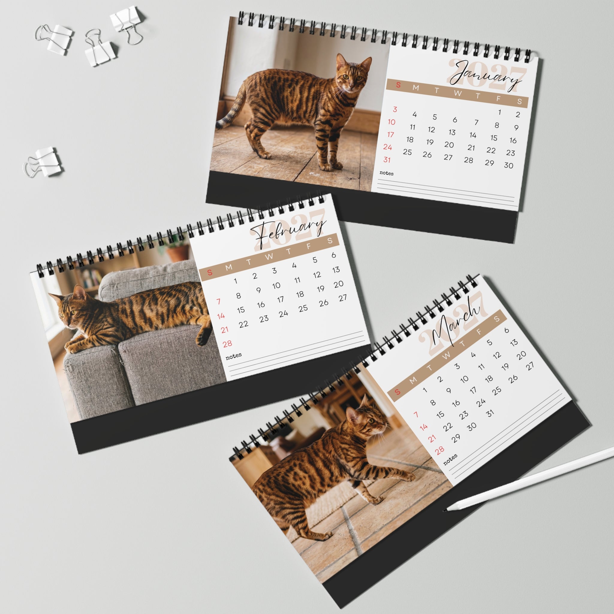 Toyger Cat Desk Calendar 2027