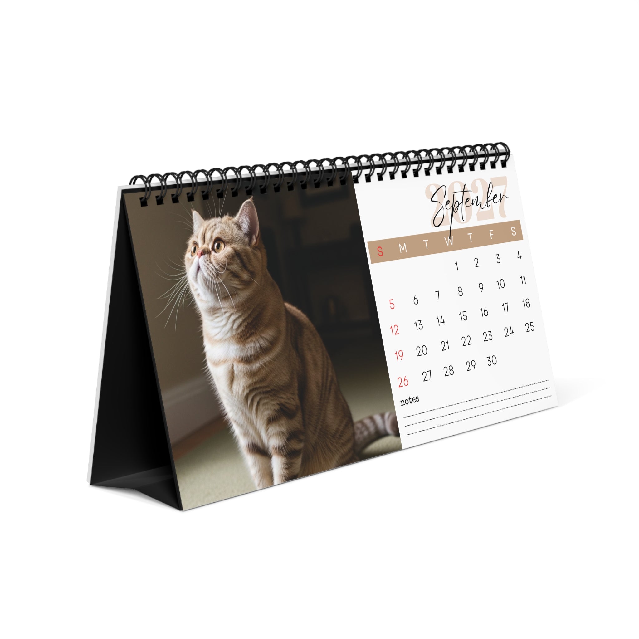 Exotic Shorthair Desk Calendar 2027