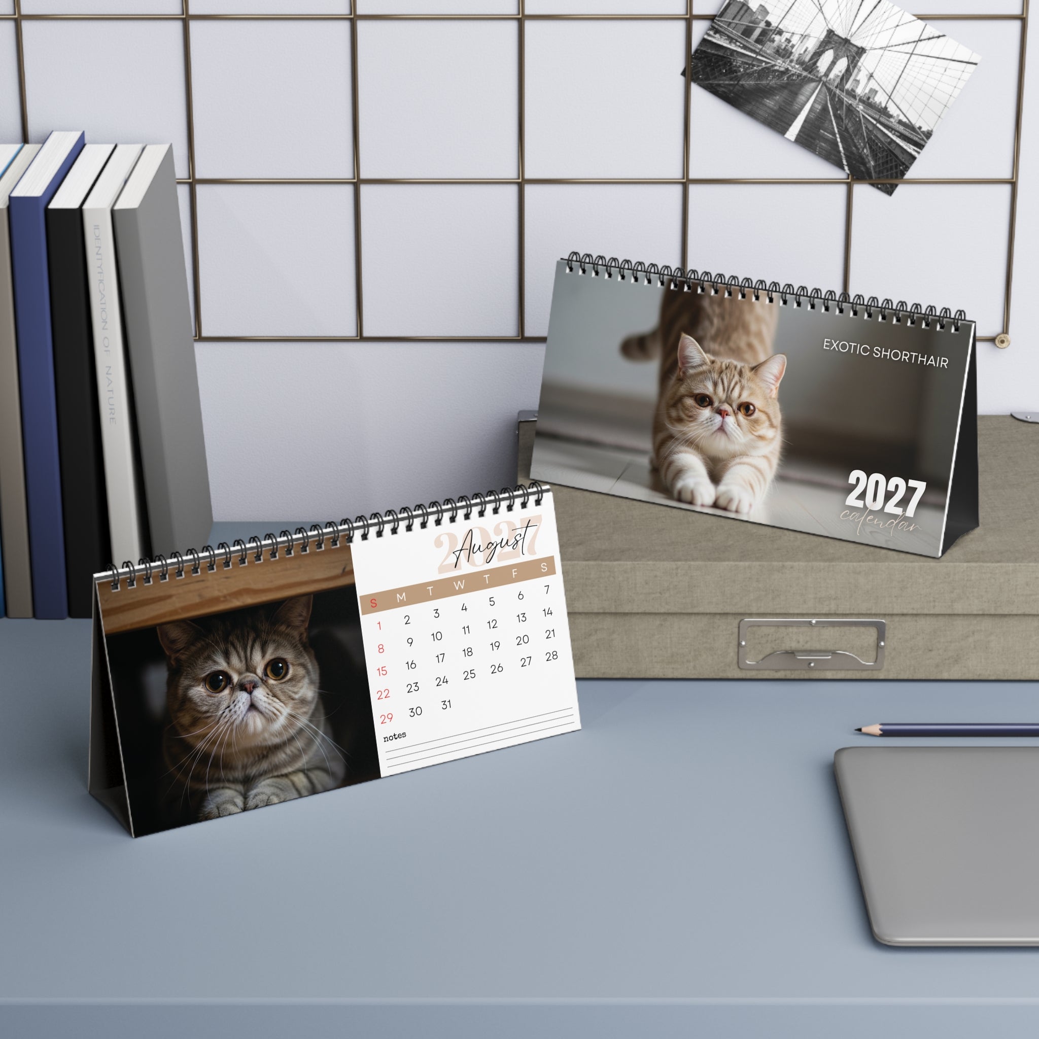 Exotic Shorthair Desk Calendar 2027