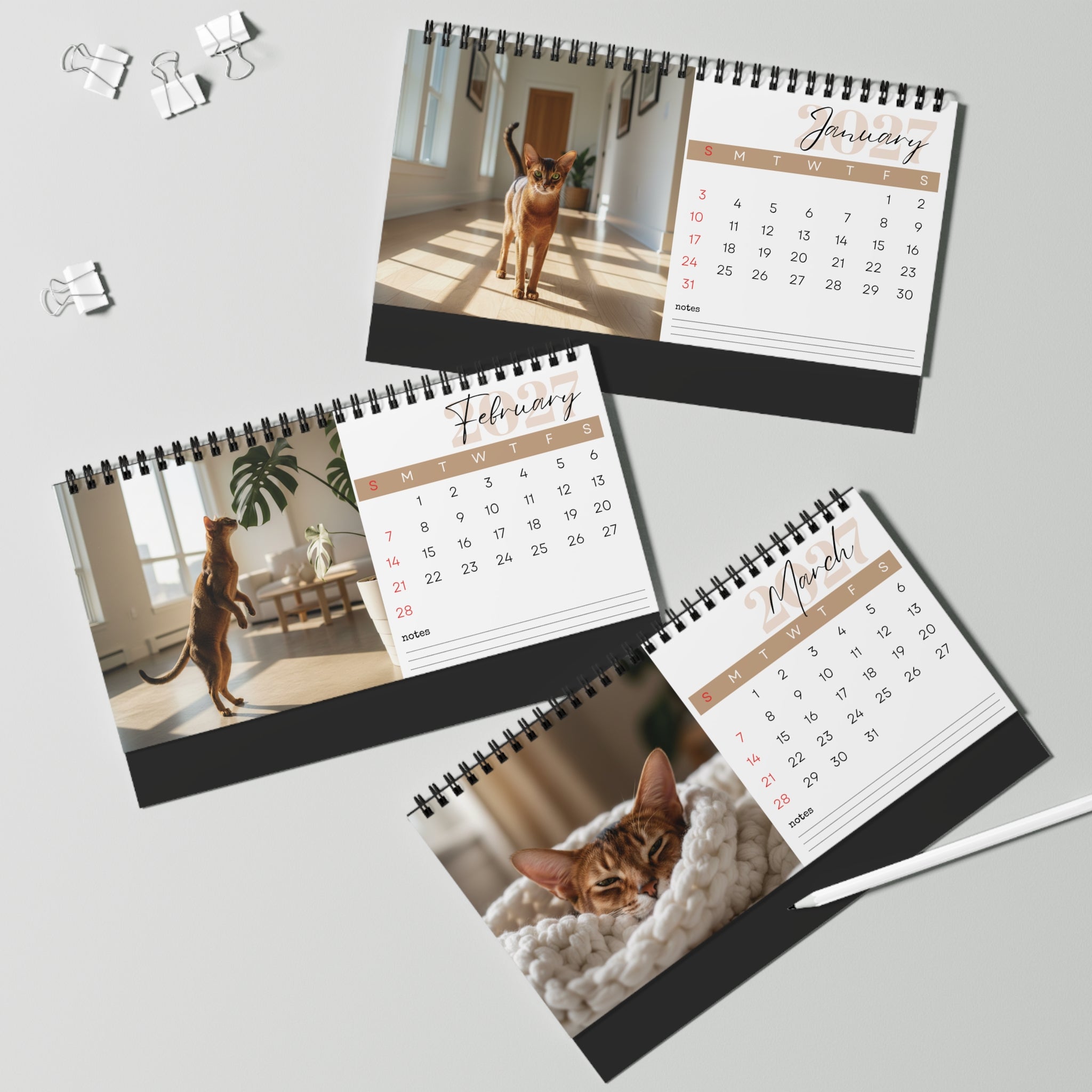 Abyssinian Cat Desk Calendar 2027