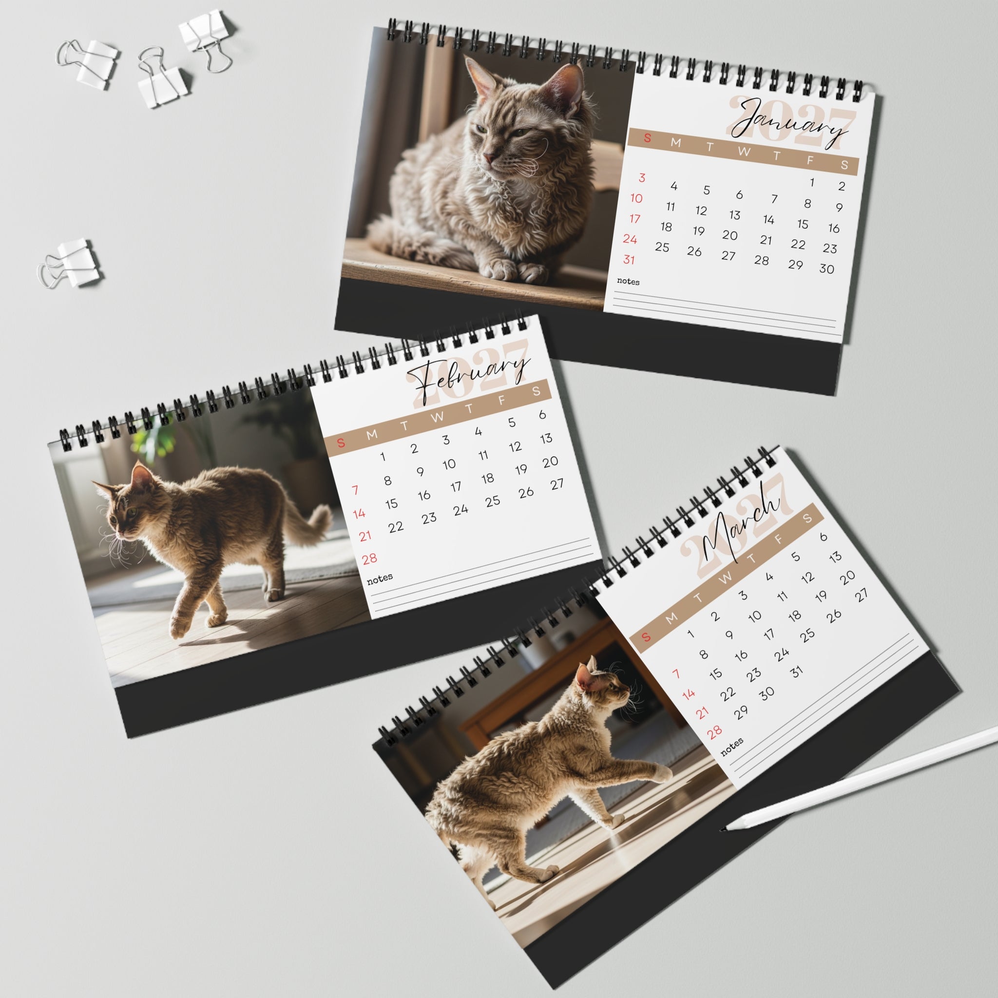 LaPerm Desk Calendar 2027