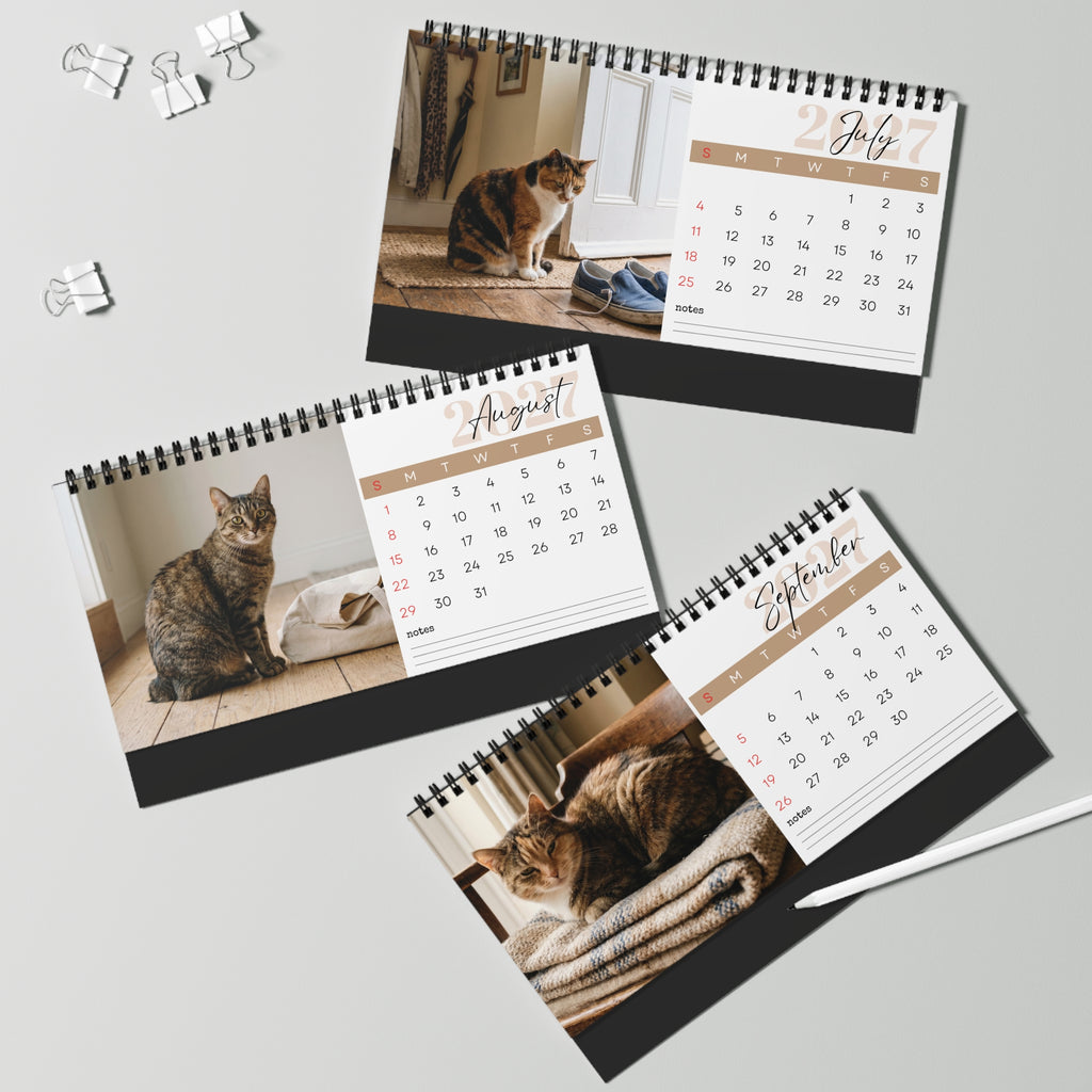 Manx Cat Desk Calendar 2027