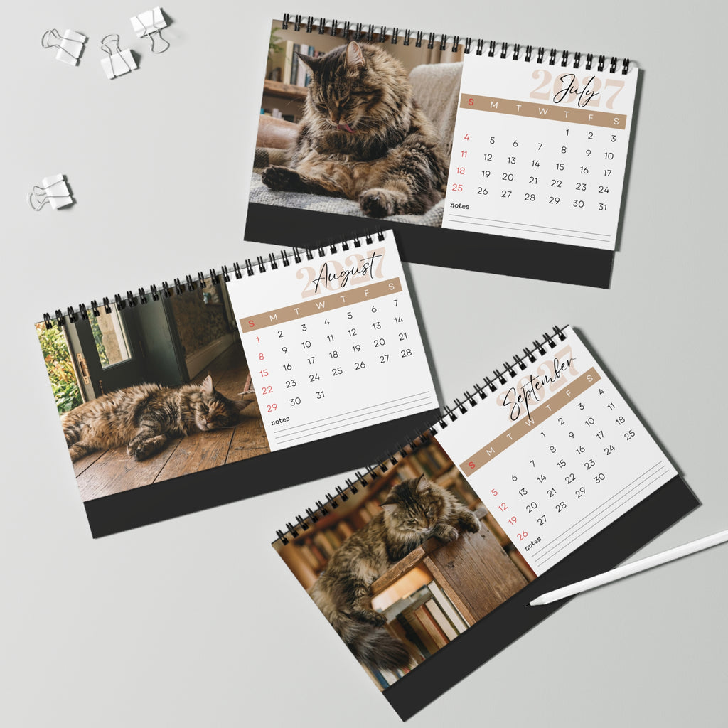 Maine Coon Cat Desk Calendar 2027