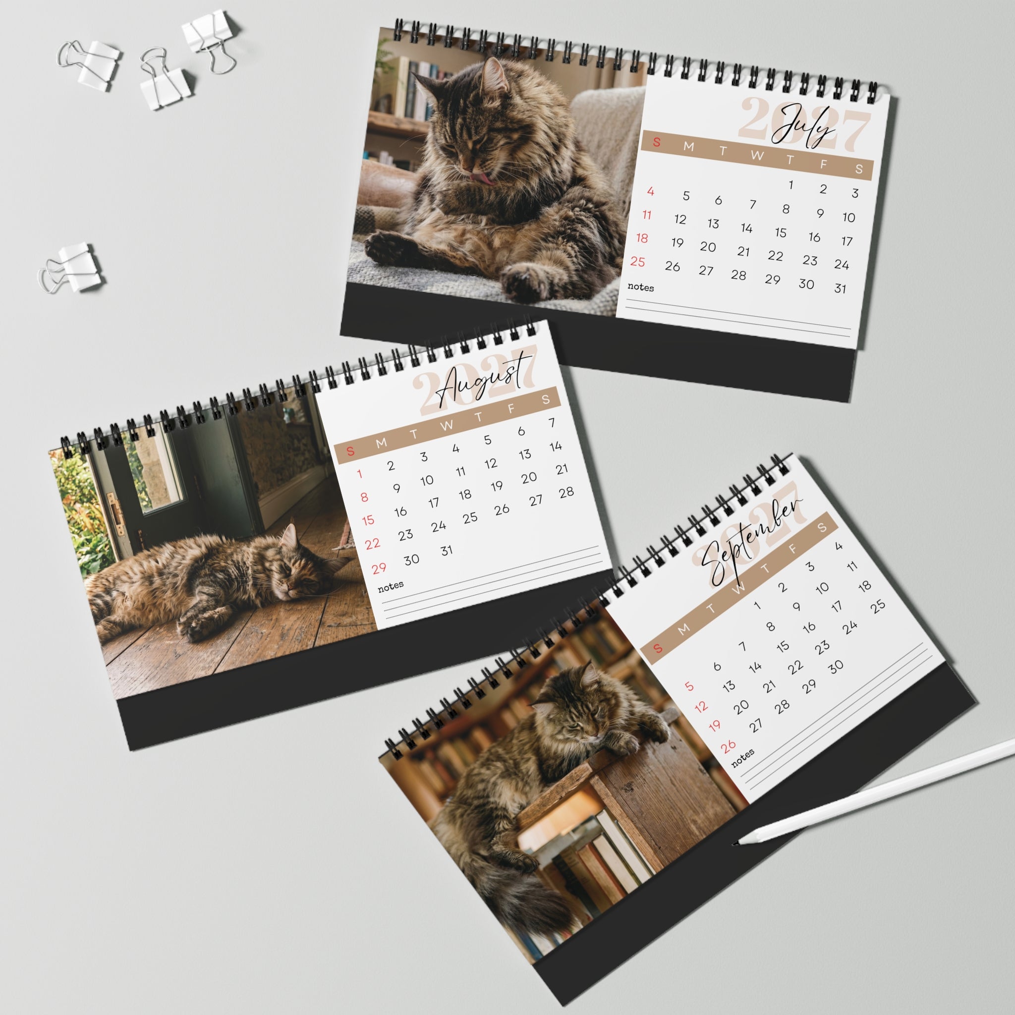 Maine Coon Cat Desk Calendar 2027