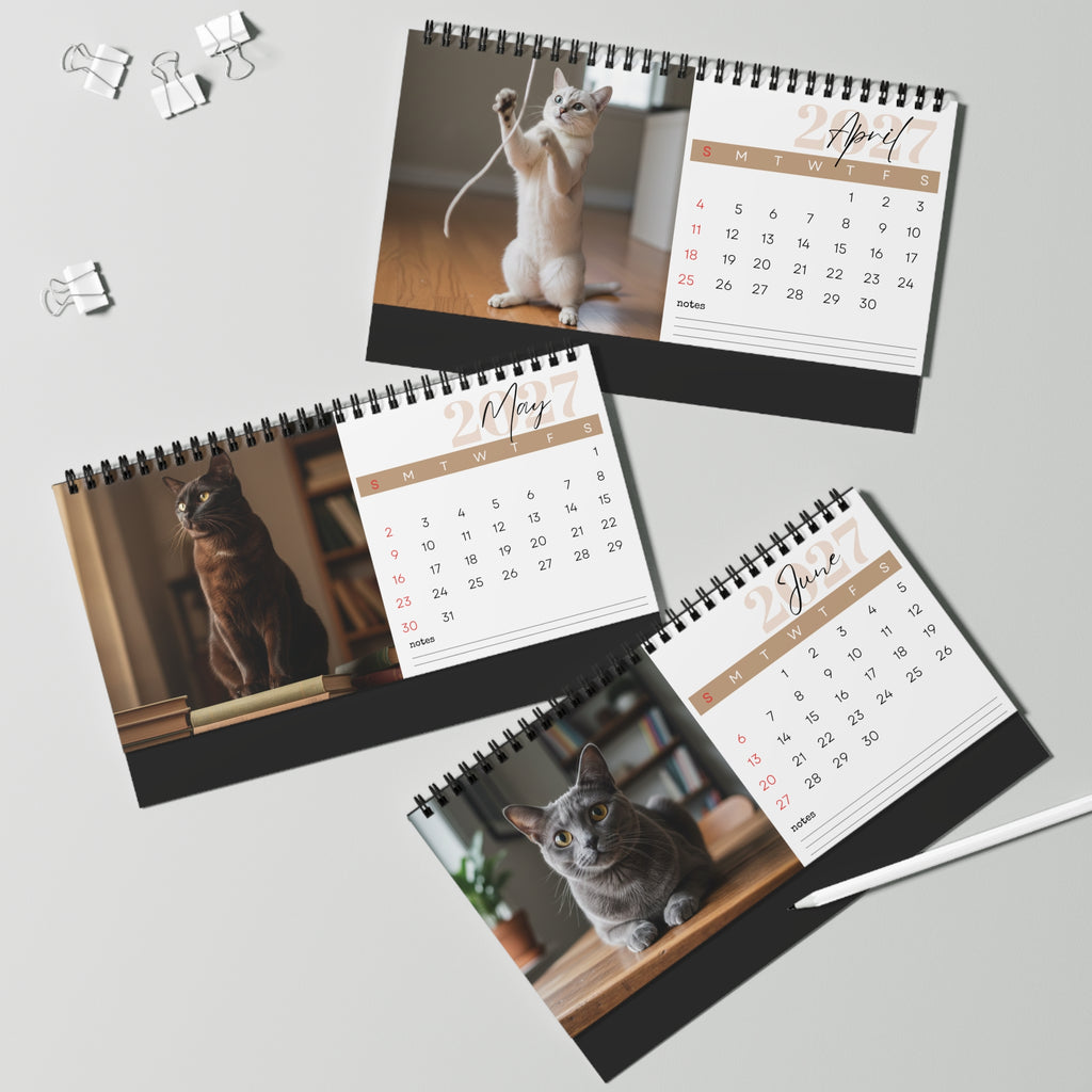 Burmese Cat Desk Calendar 2027