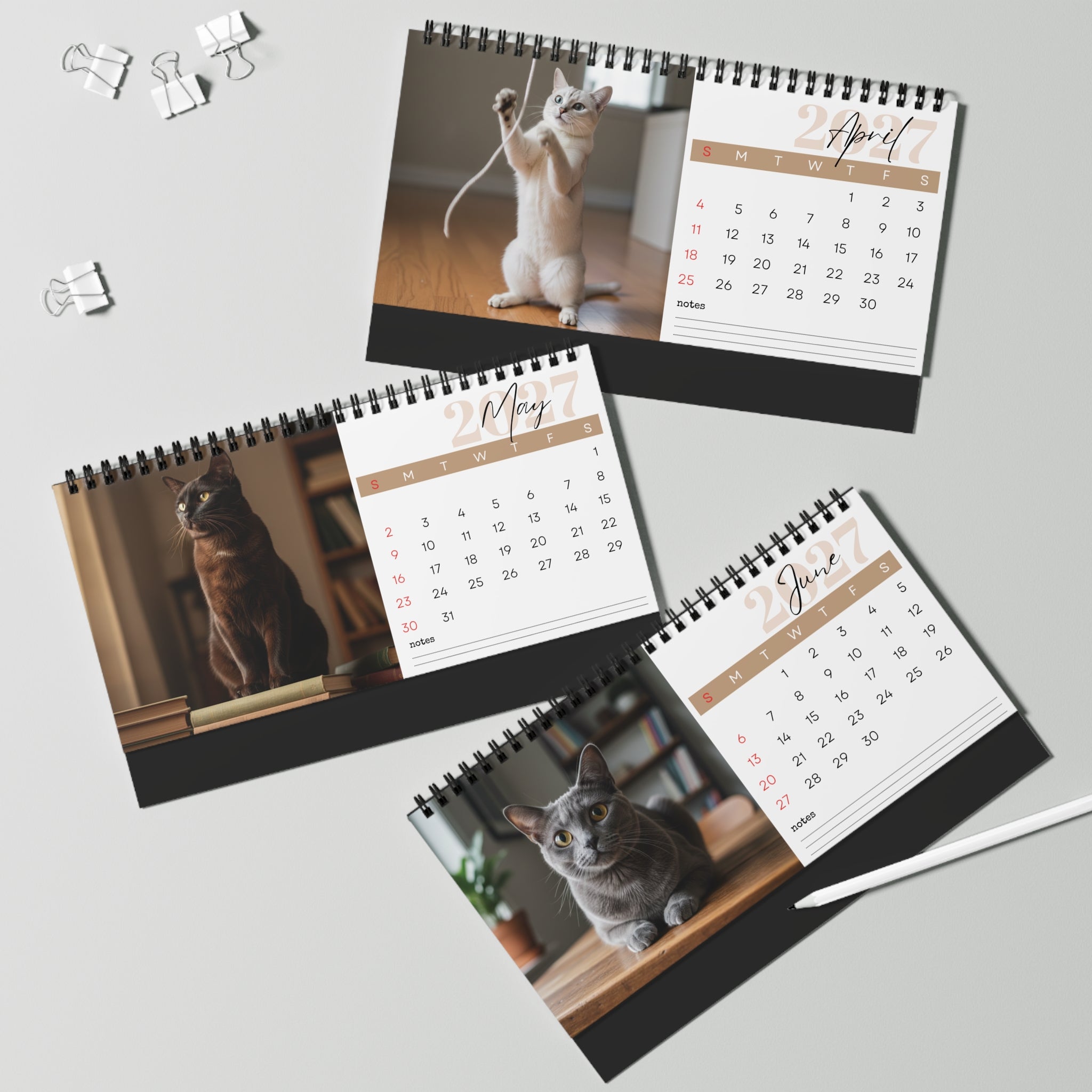 Burmese Cat Desk Calendar 2027