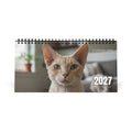 Cornish Rex Desk Calendar 2027