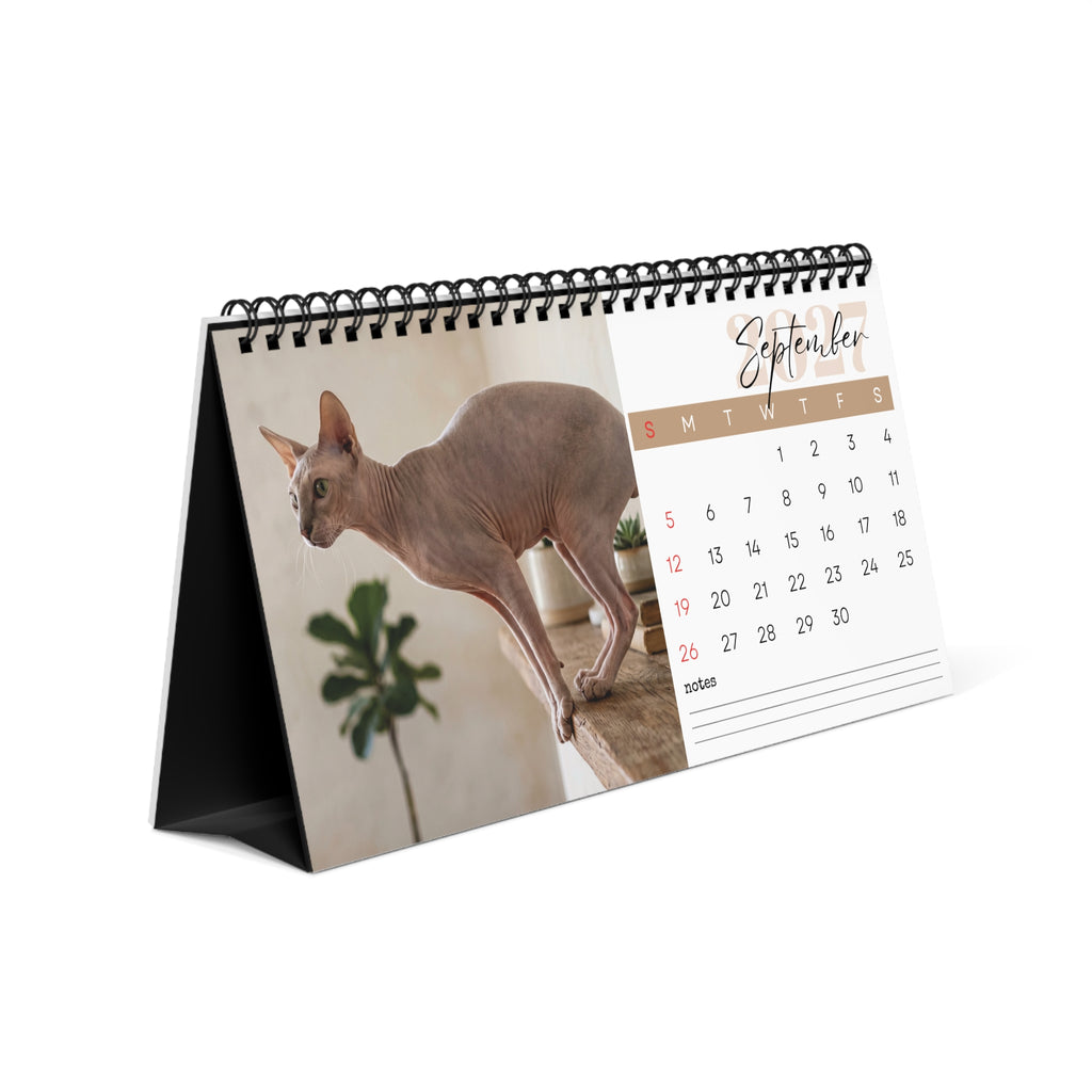 Peterbald Cat Desk Calendar 2027
