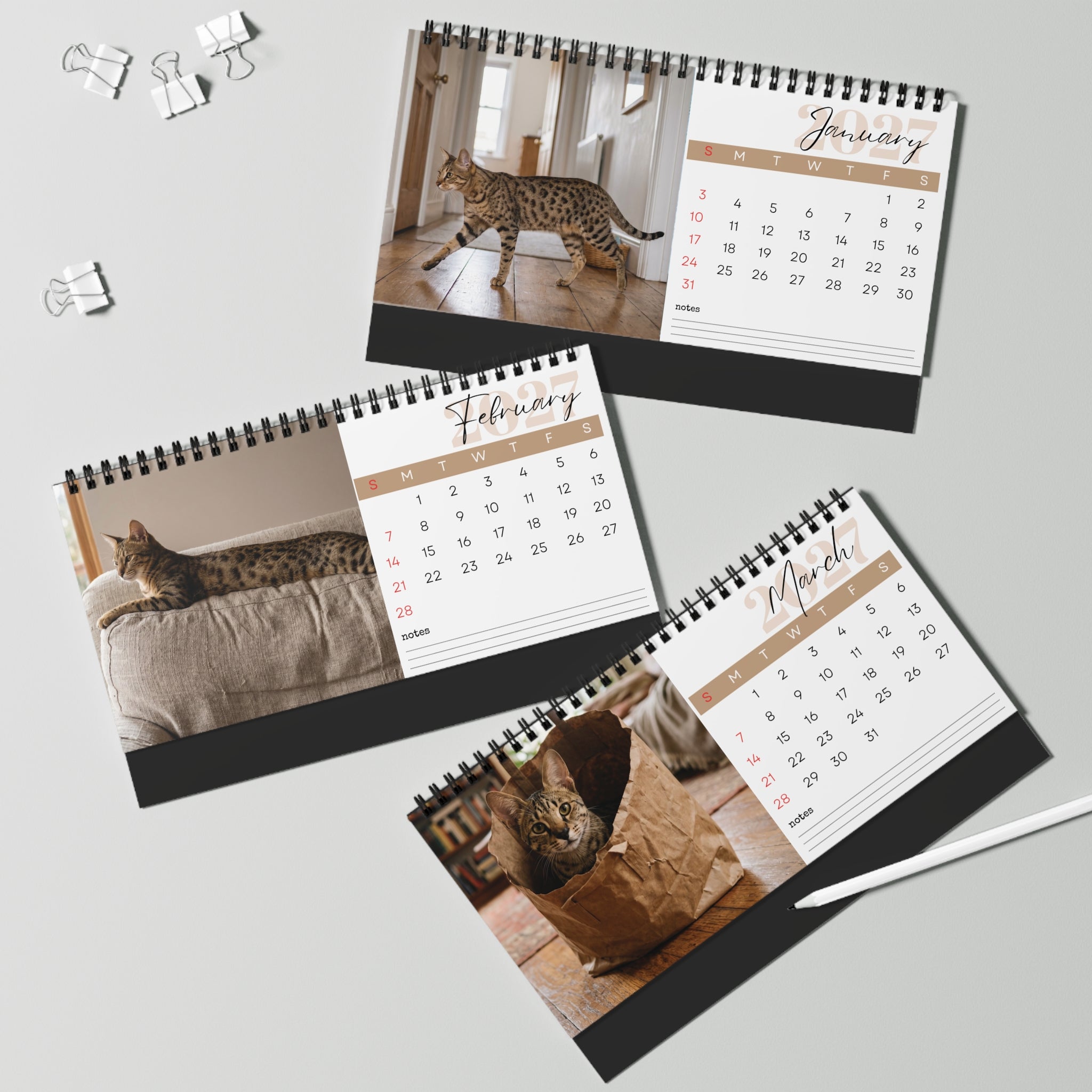 Serengeti Cat Desk Calendar 2027