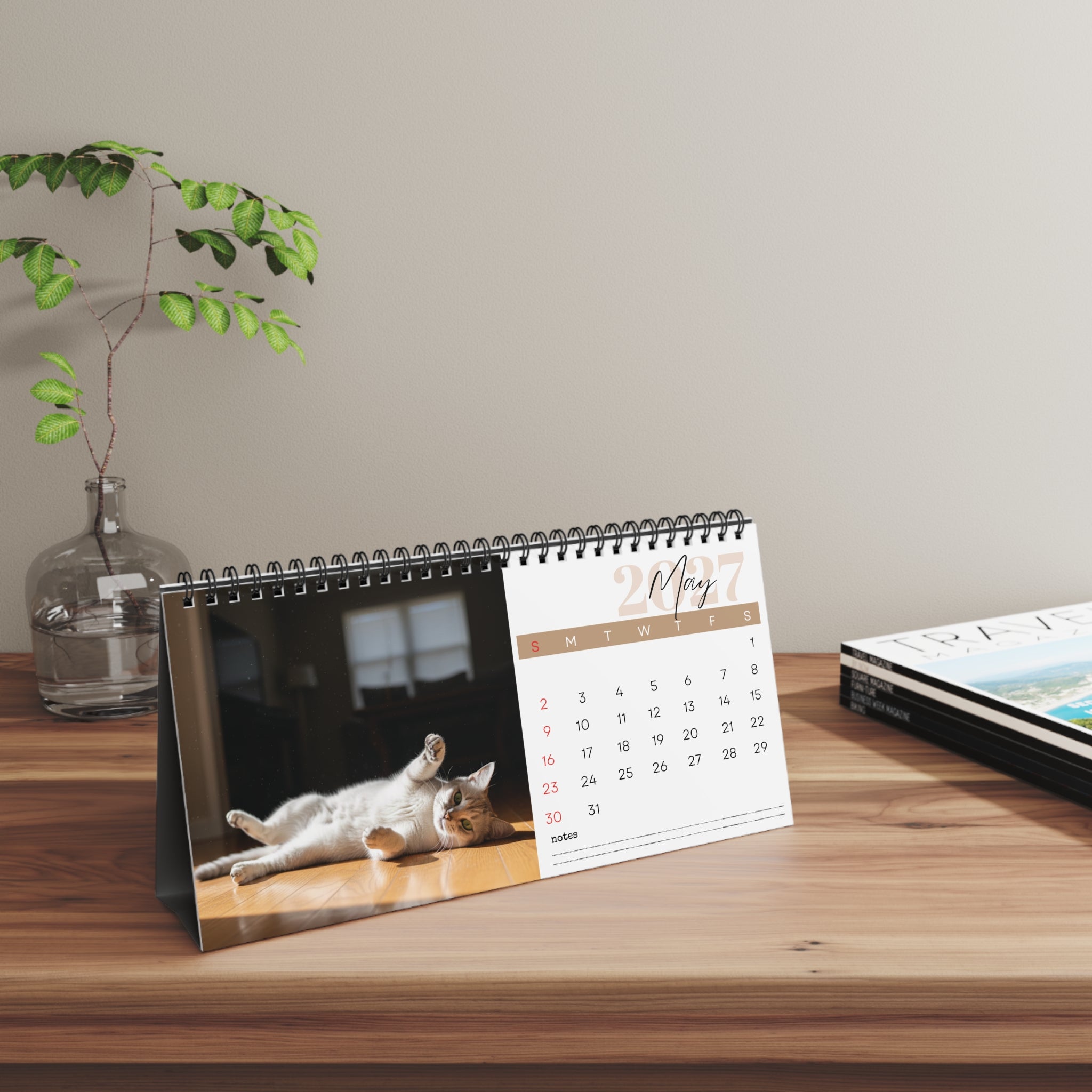 Burmilla Cat Desk Calendar 2027