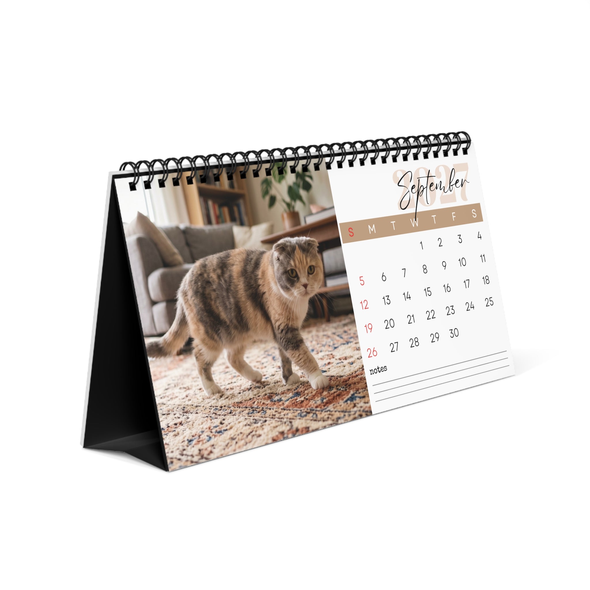 Scottish Fold Cat Desk Calendar 2027