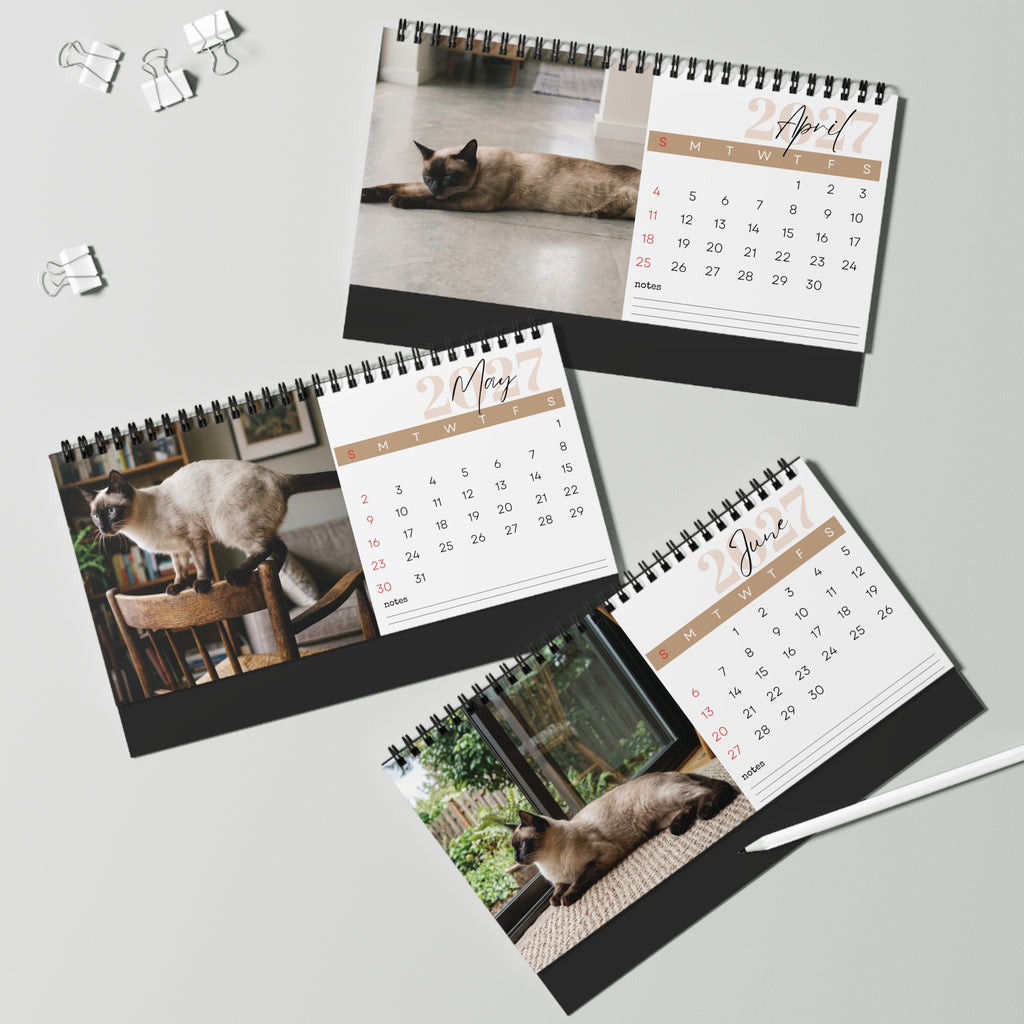 Siamese Cat Wall Calendar 2027