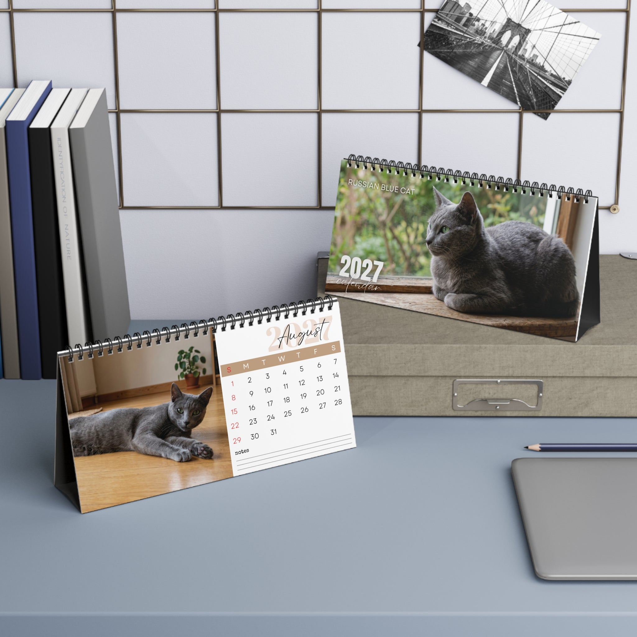 Russian Blue Cat Desk Calendar 2027