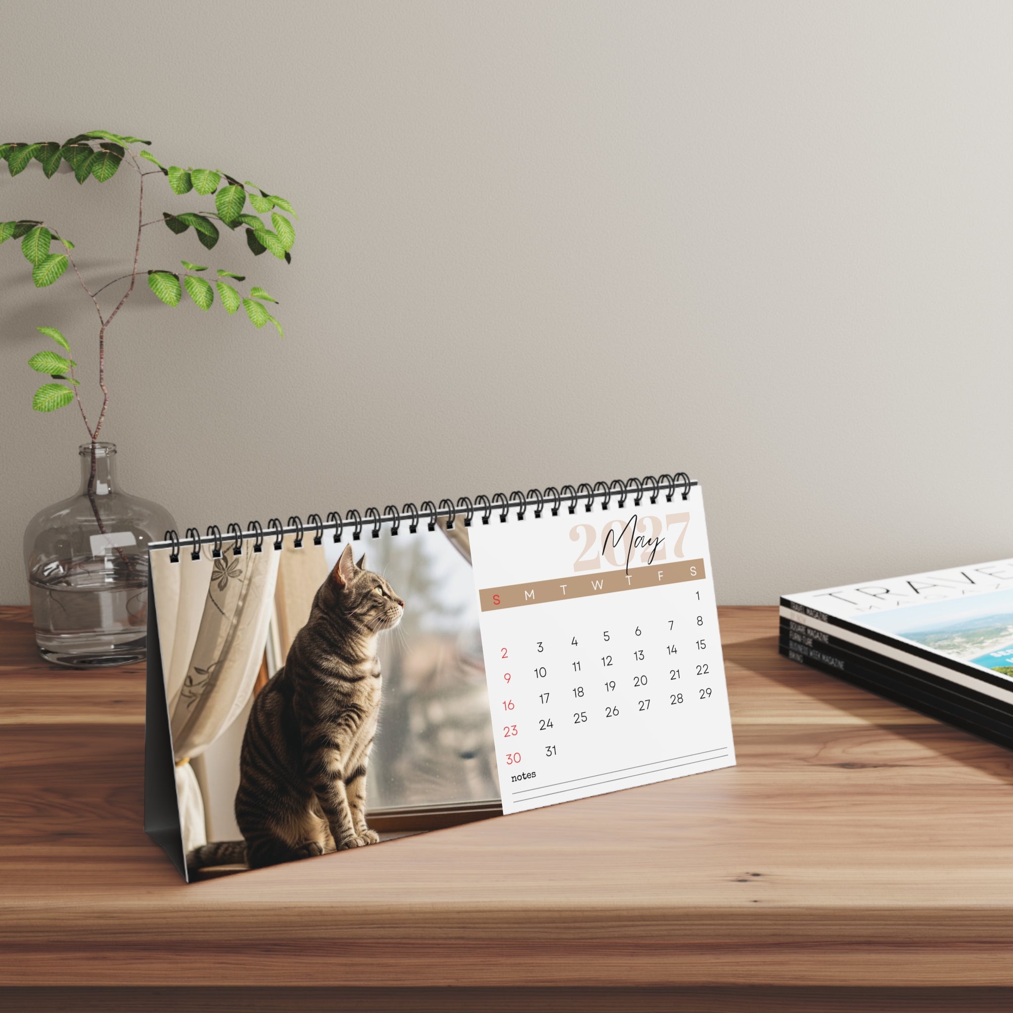 European Shorthair Desk Calendar 2027